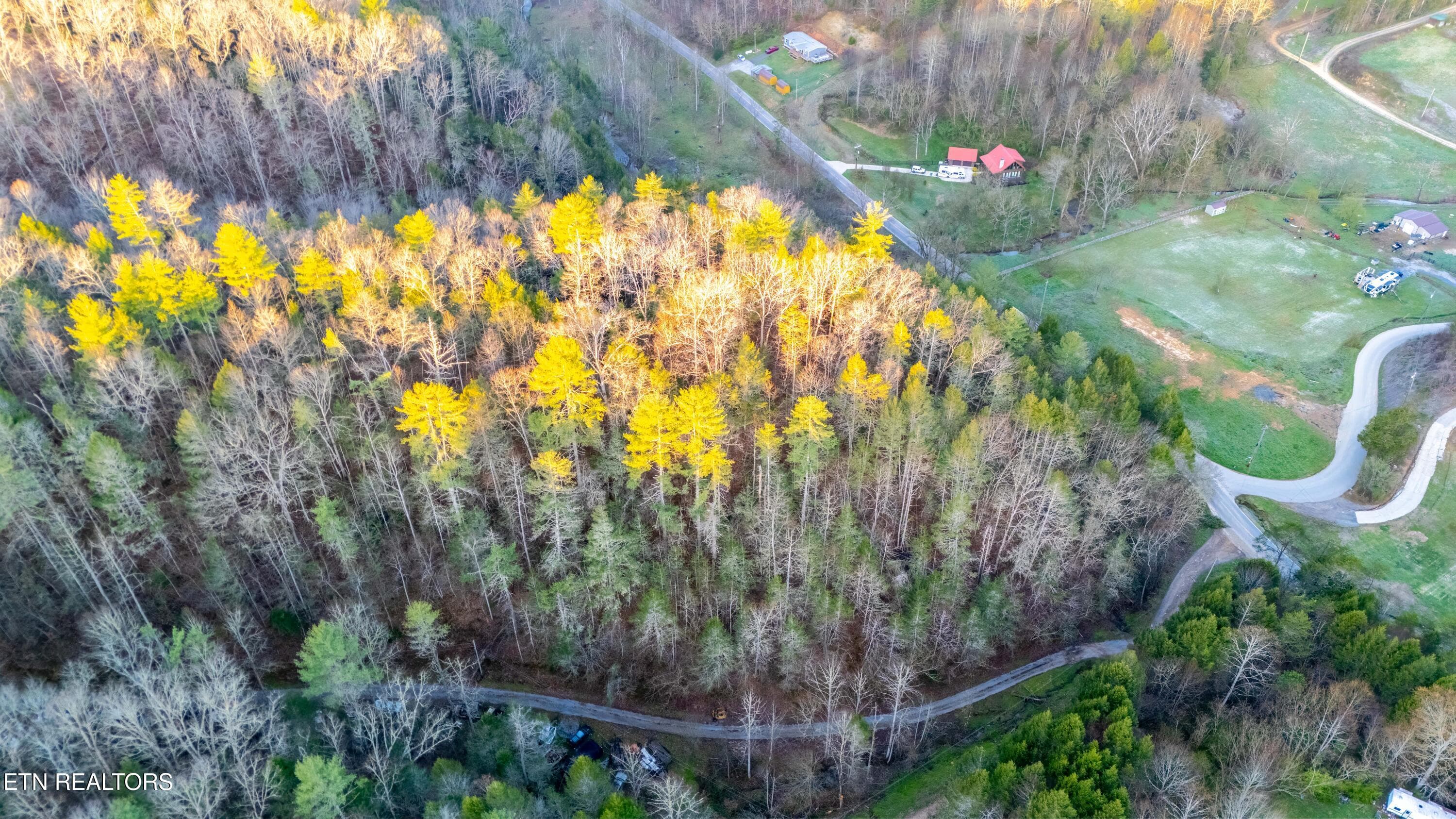 DJI_20260320080810_0499_D-HDR-Edit - Bogard Rd, Cosby, TN 37722