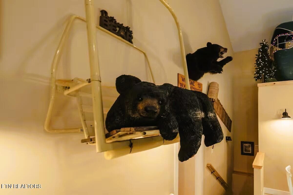 260 CD Bear on Wall jp - 260 Circle Drive, Gatlinburg, TN 37738, Gatlinburg