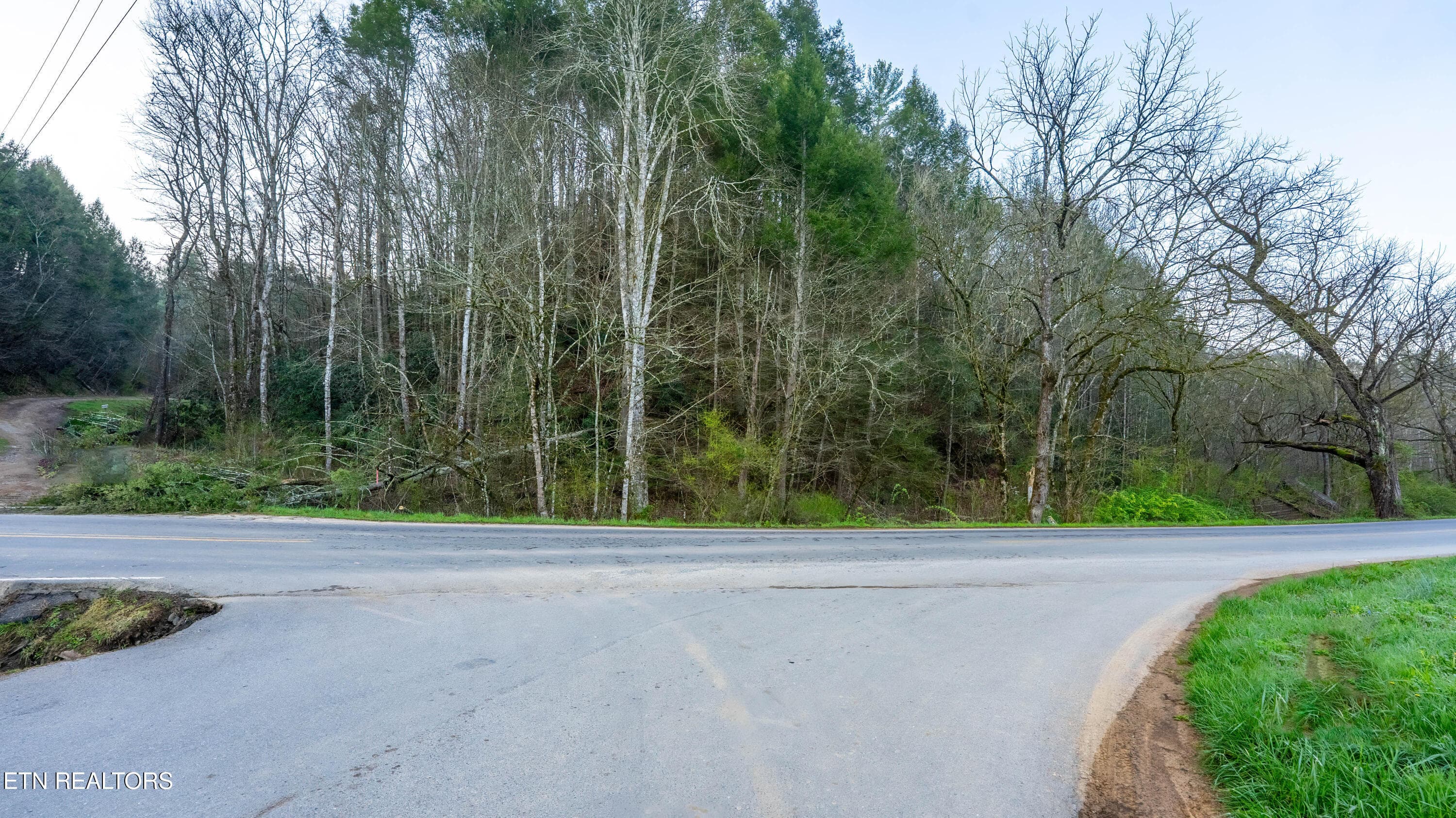 _DSC0014-HDR-Edit-Edit - Bogard Rd, Cosby, TN 37722
