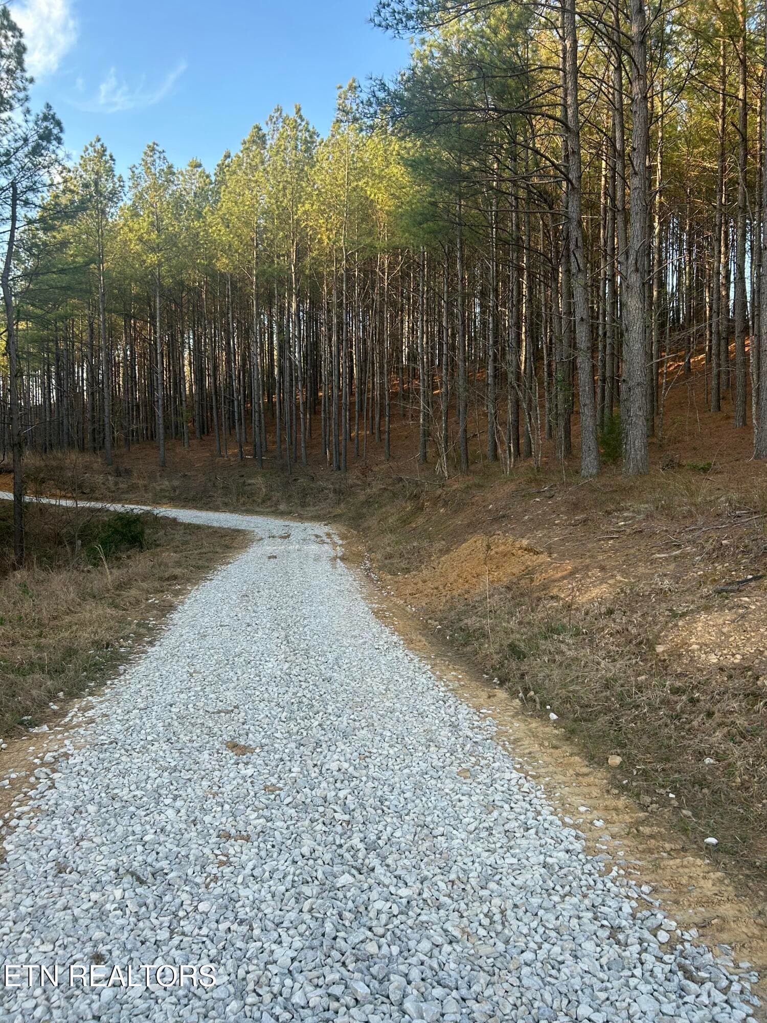 IMG_7738 - 59 Union Hill Rd, Sunbright, TN 37872