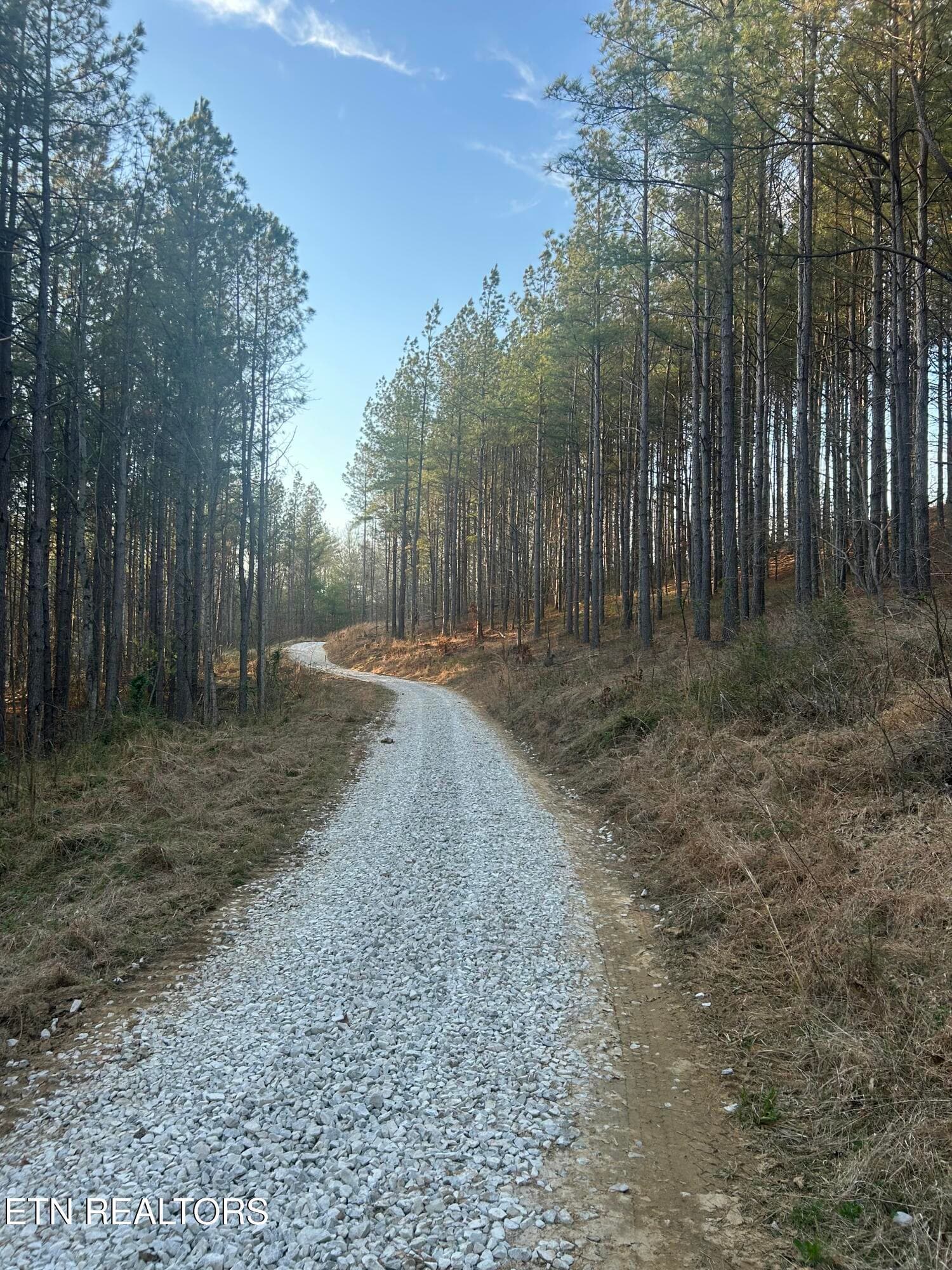 IMG_7739 - 59 Union Hill Rd, Sunbright, TN 37872
