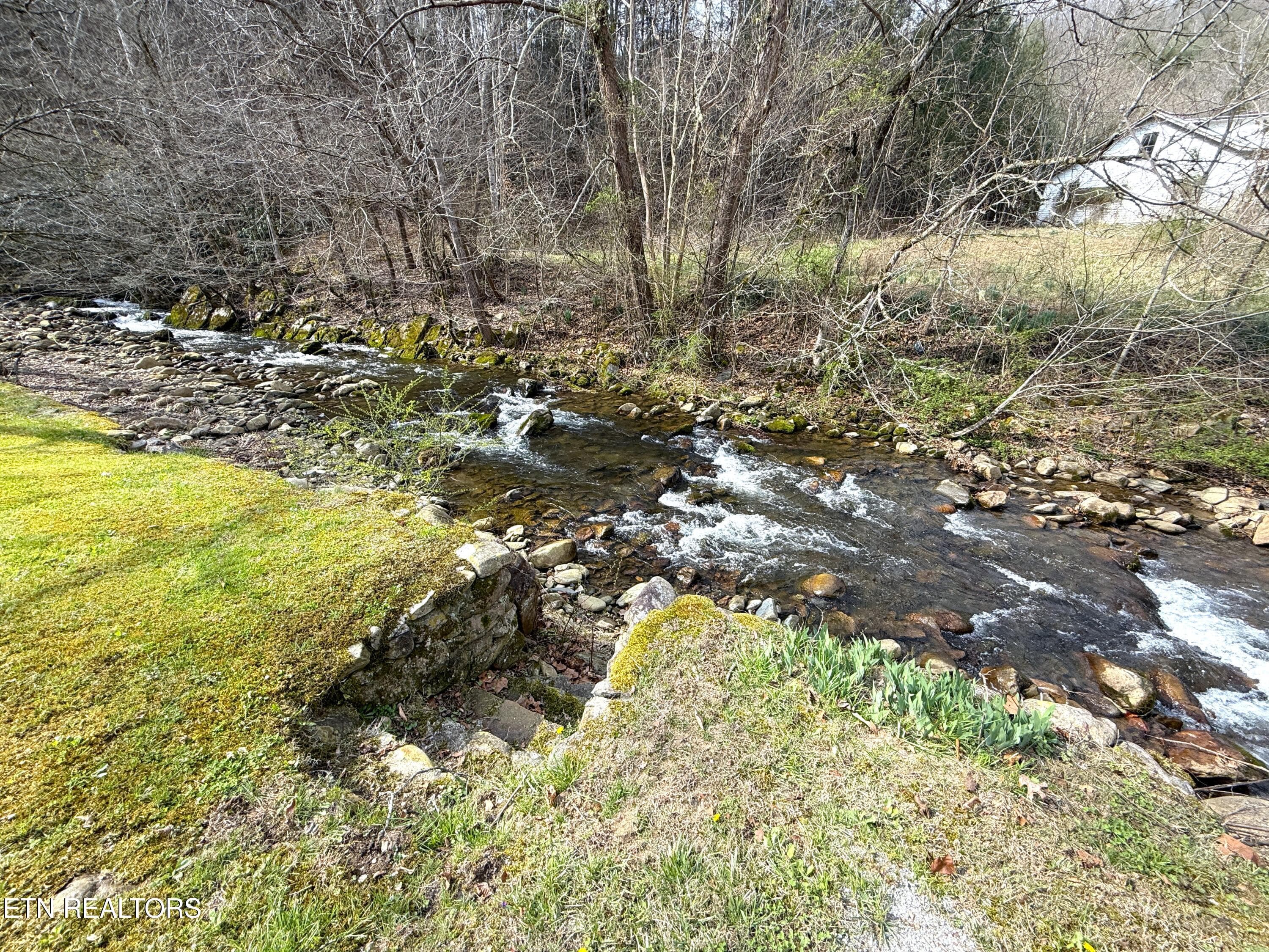 26 - 1059 Blue Mill Rd, Del Rio, TN 37727