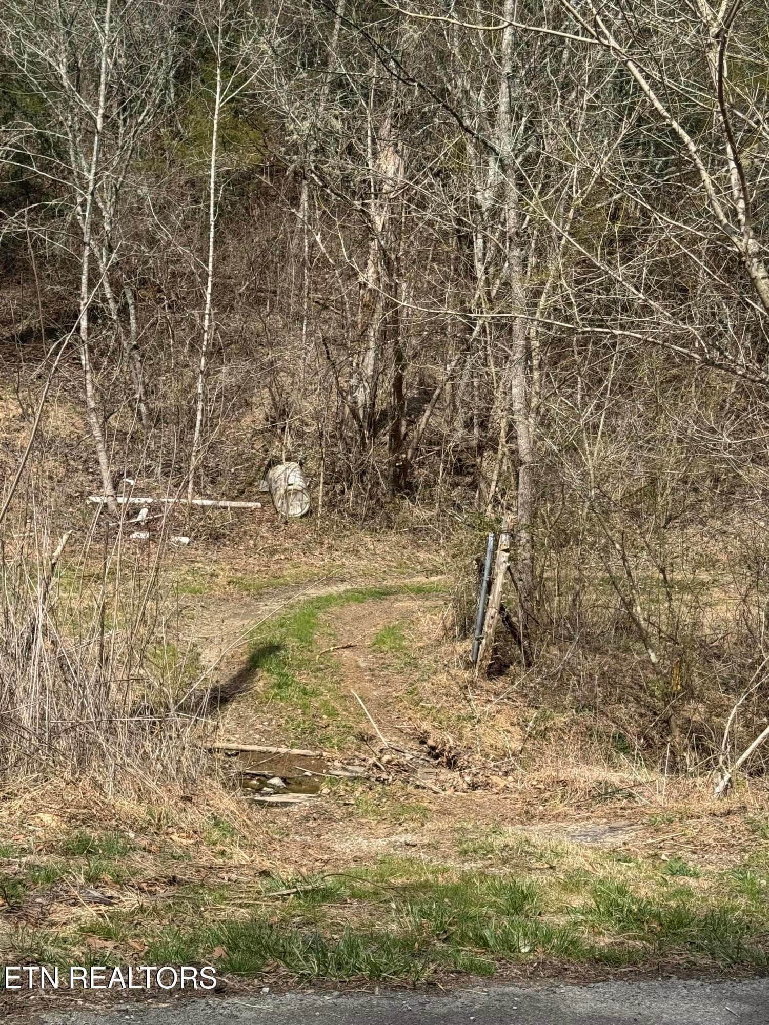 IMG_7140 - Bear Creek Rd, Bybee, TN 37713