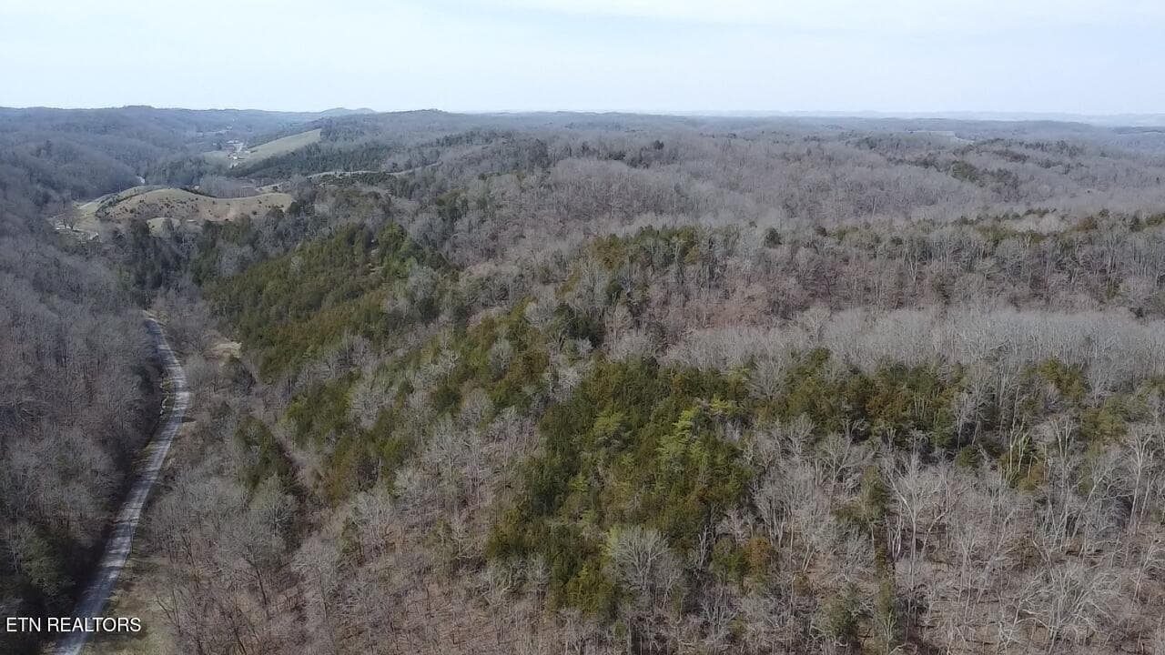 2025-03-14-13-06-26-793 - Bear Creek Rd, Bybee, TN 37713