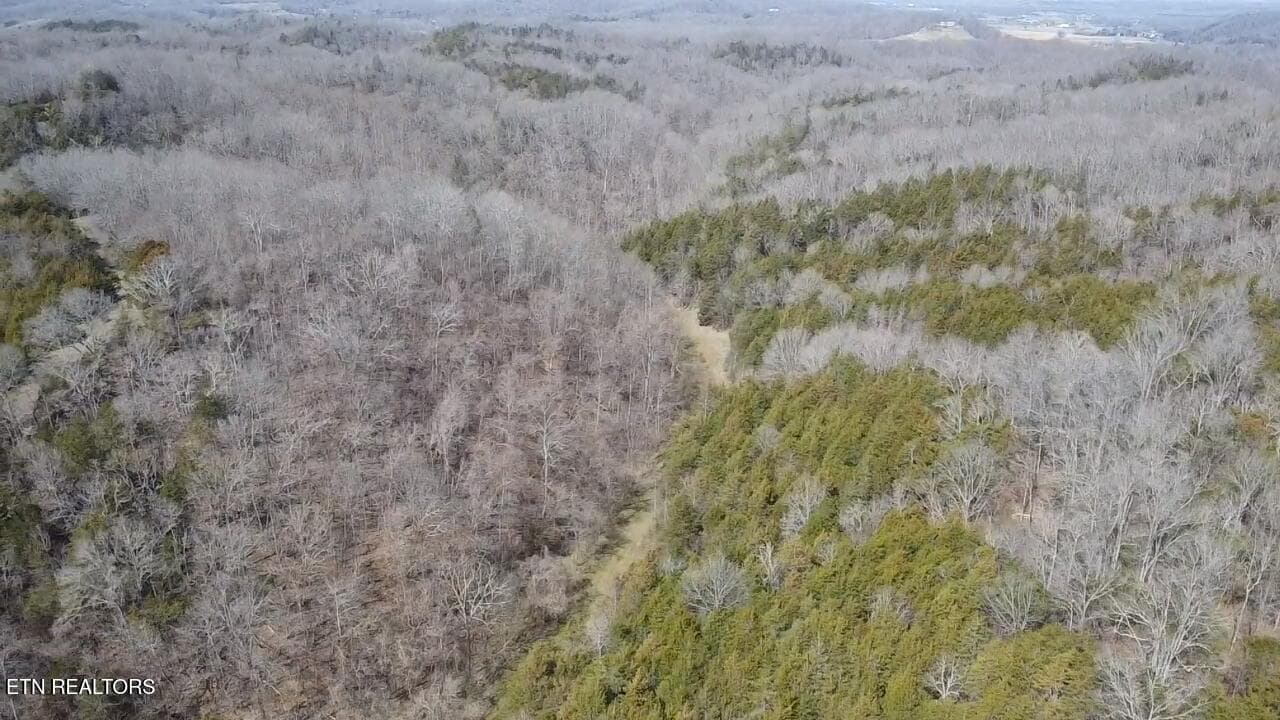 2025-03-14-13-07-23-374 - Bear Creek Rd, Bybee, TN 37713