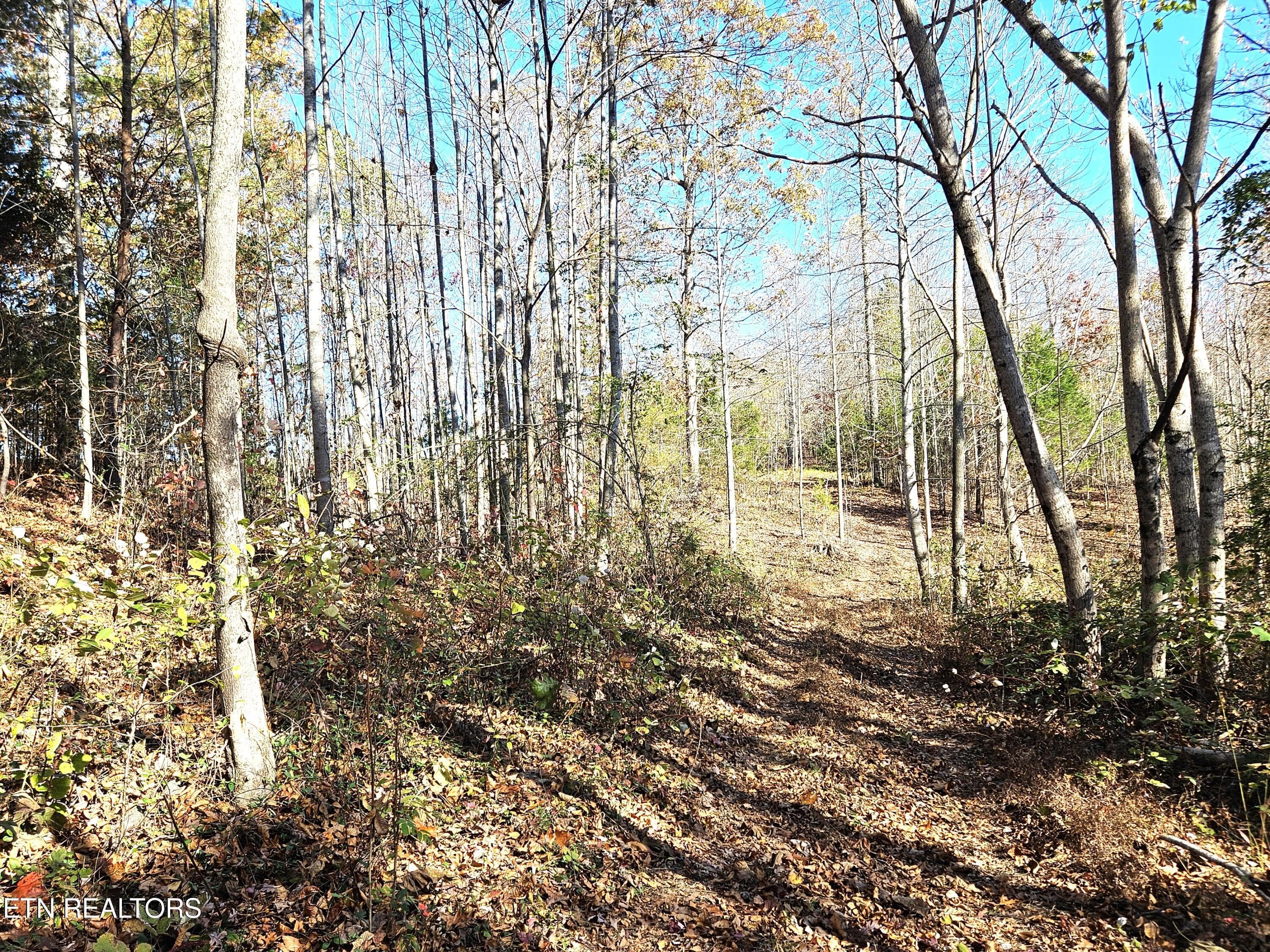 Jamison Property 11 - Walker Rd, Sharps Chapel, TN 37866