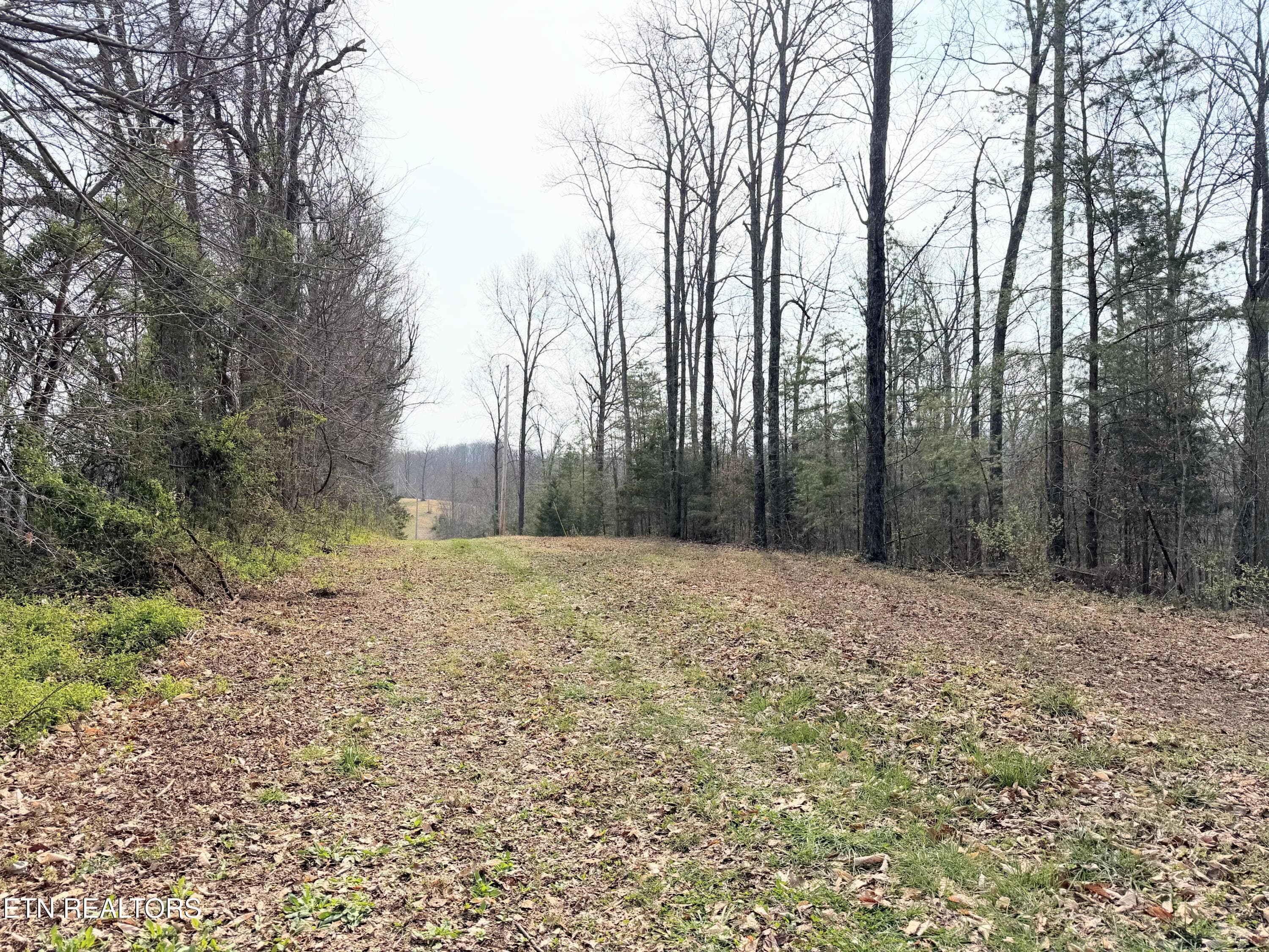 78CE96F6-C5C7-400A-B544-21AD8FF94E0C - Walker Rd, Sharps Chapel, TN 37866