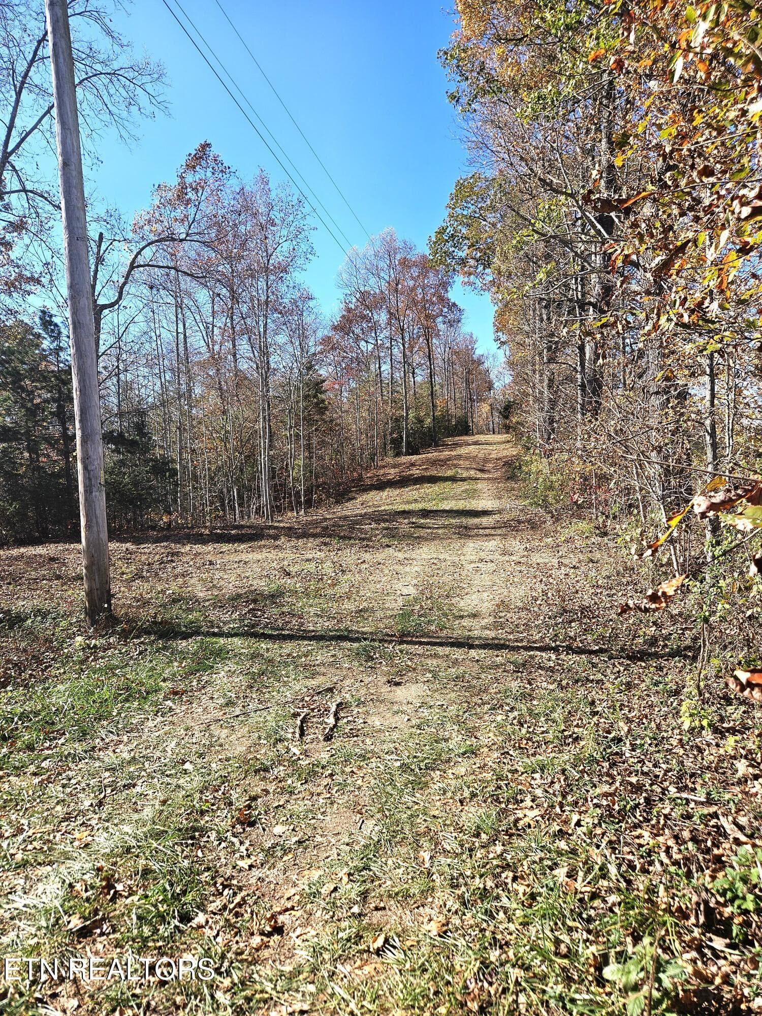 Jamison Property 1 - Walker Rd, Sharps Chapel, TN 37866