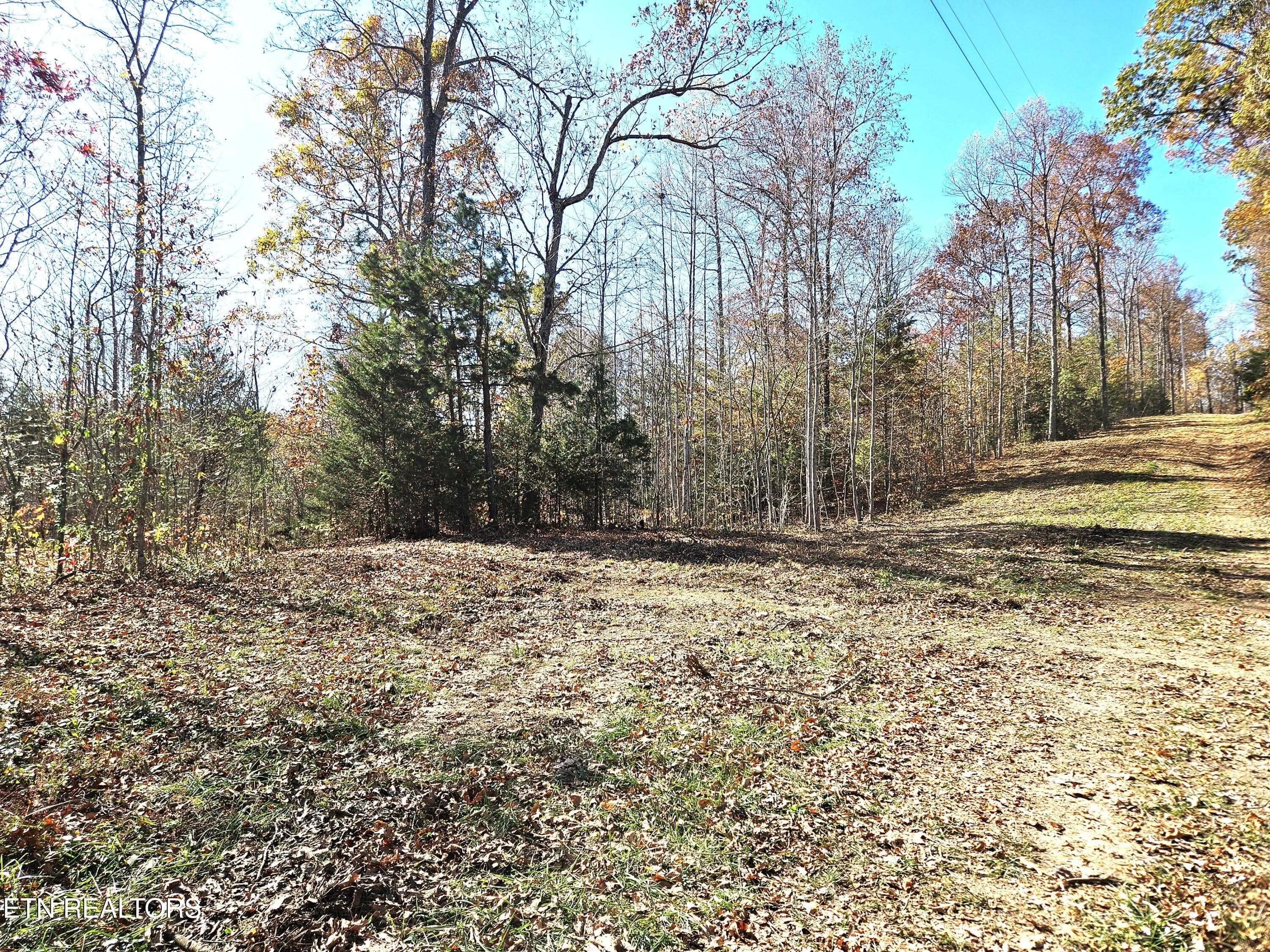 Jamison Property 5 - Walker Rd, Sharps Chapel, TN 37866