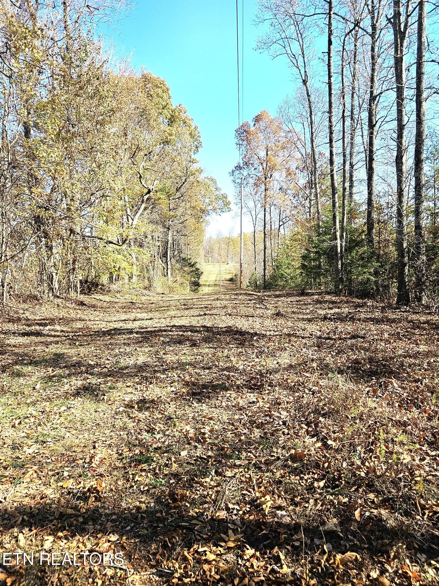 Jamison Property 10 - Walker Rd, Sharps Chapel, TN 37866