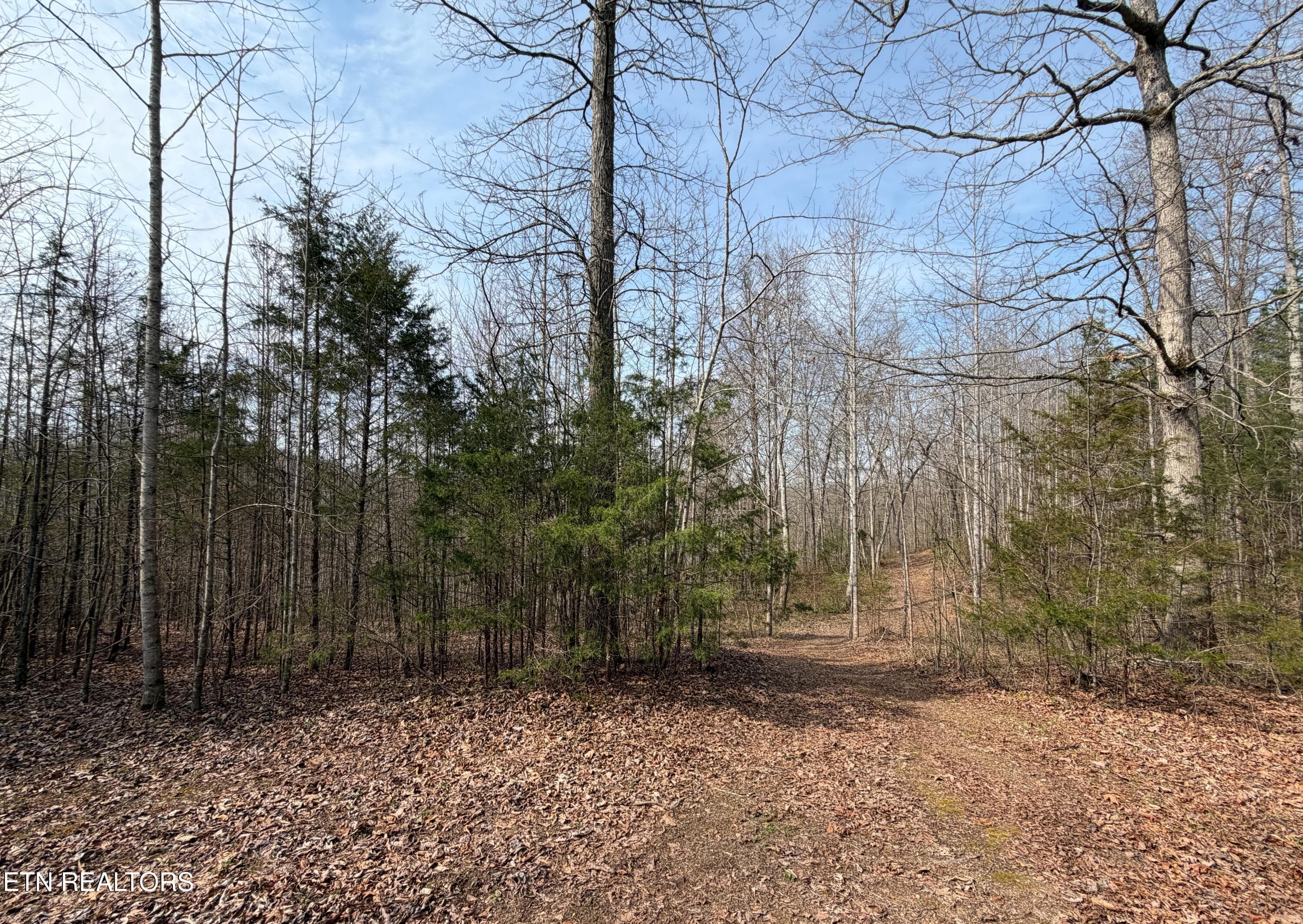 New 2 - Walker Rd, Sharps Chapel, TN 37866