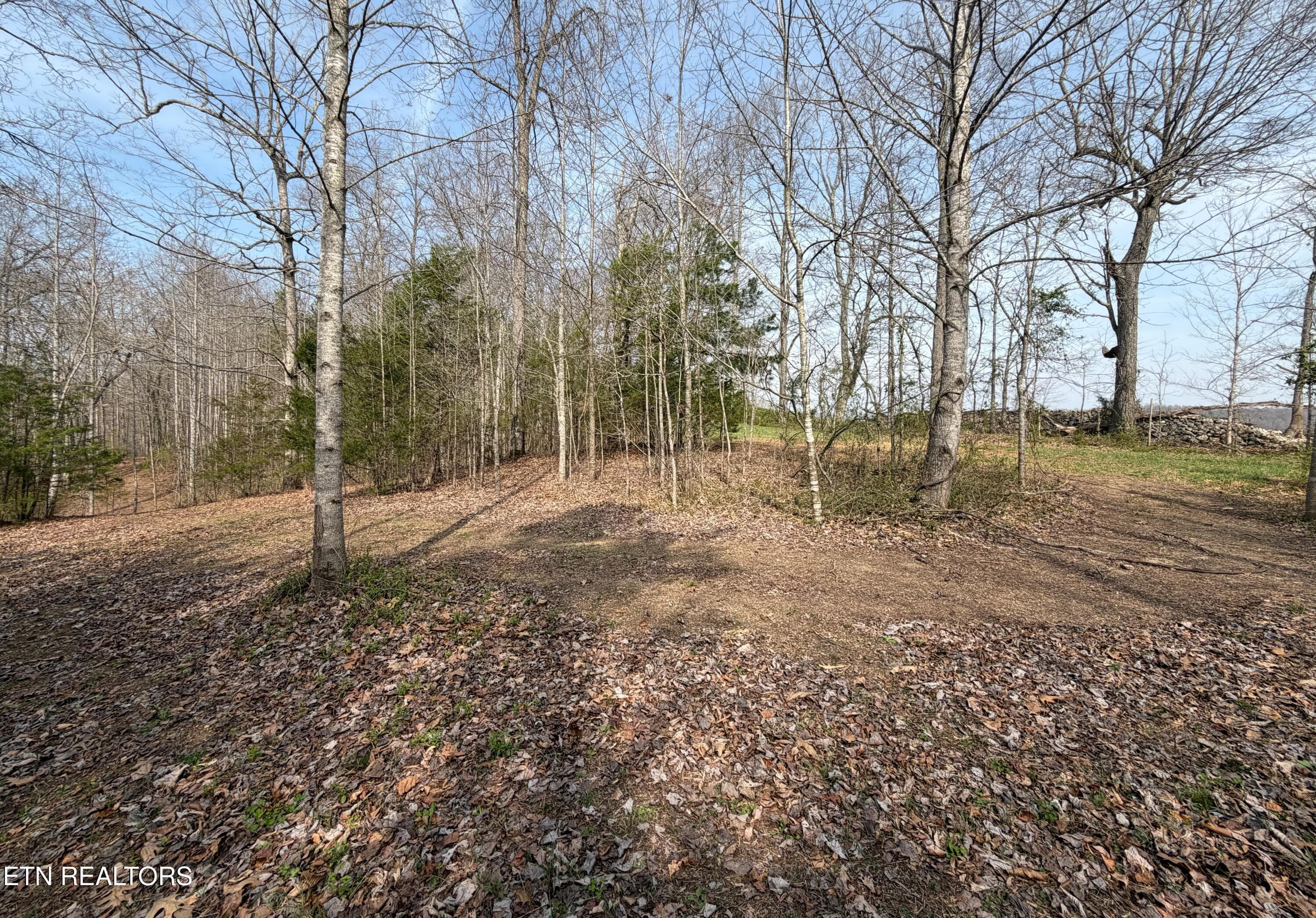 New 5 - Walker Rd, Sharps Chapel, TN 37866