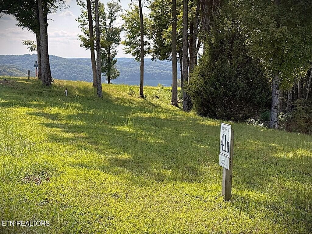 239559_1 - 41B Bald Eagle Rd, Hilham, TN 38568
