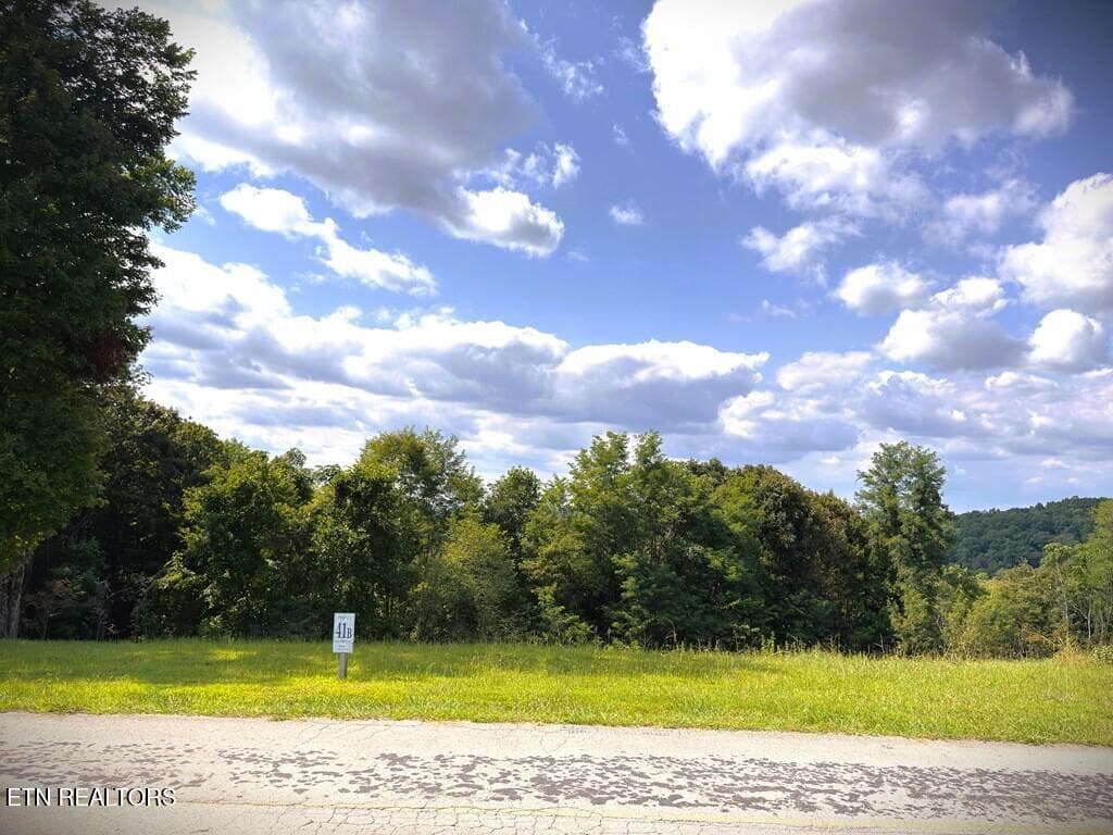 239559_2 - 41B Bald Eagle Rd, Hilham, TN 38568