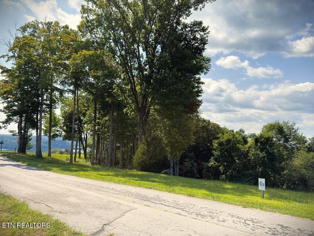 239559_3 - 41B Bald Eagle Rd, Hilham, TN 38568