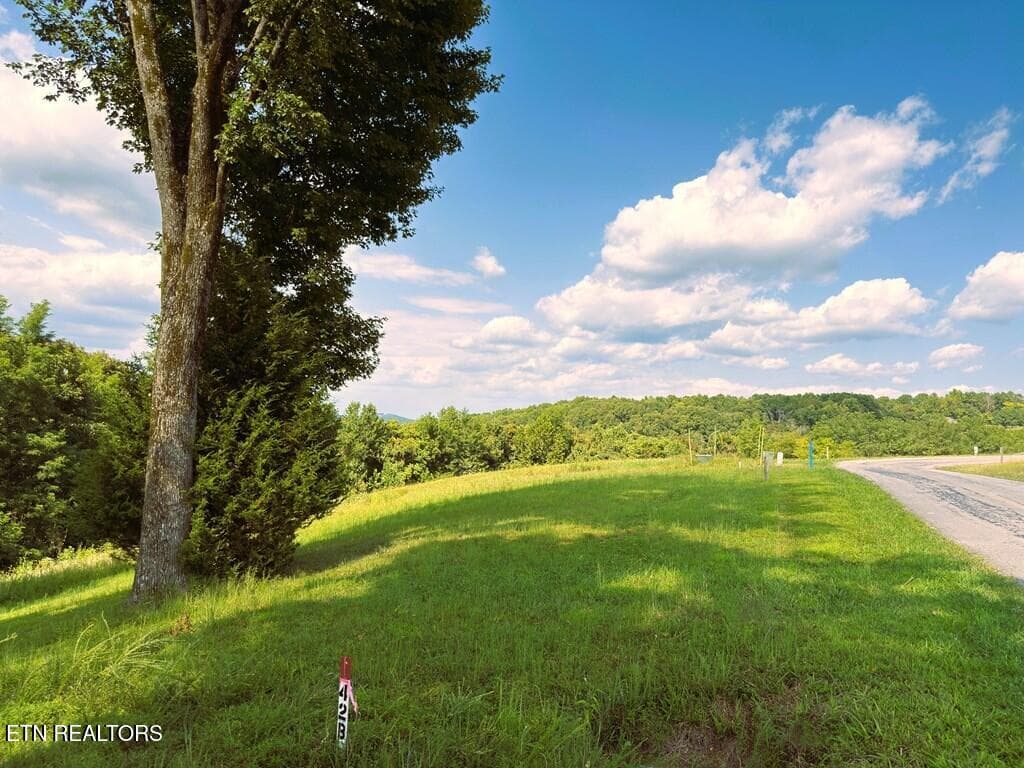 239559_4 - 41B Bald Eagle Rd, Hilham, TN 38568