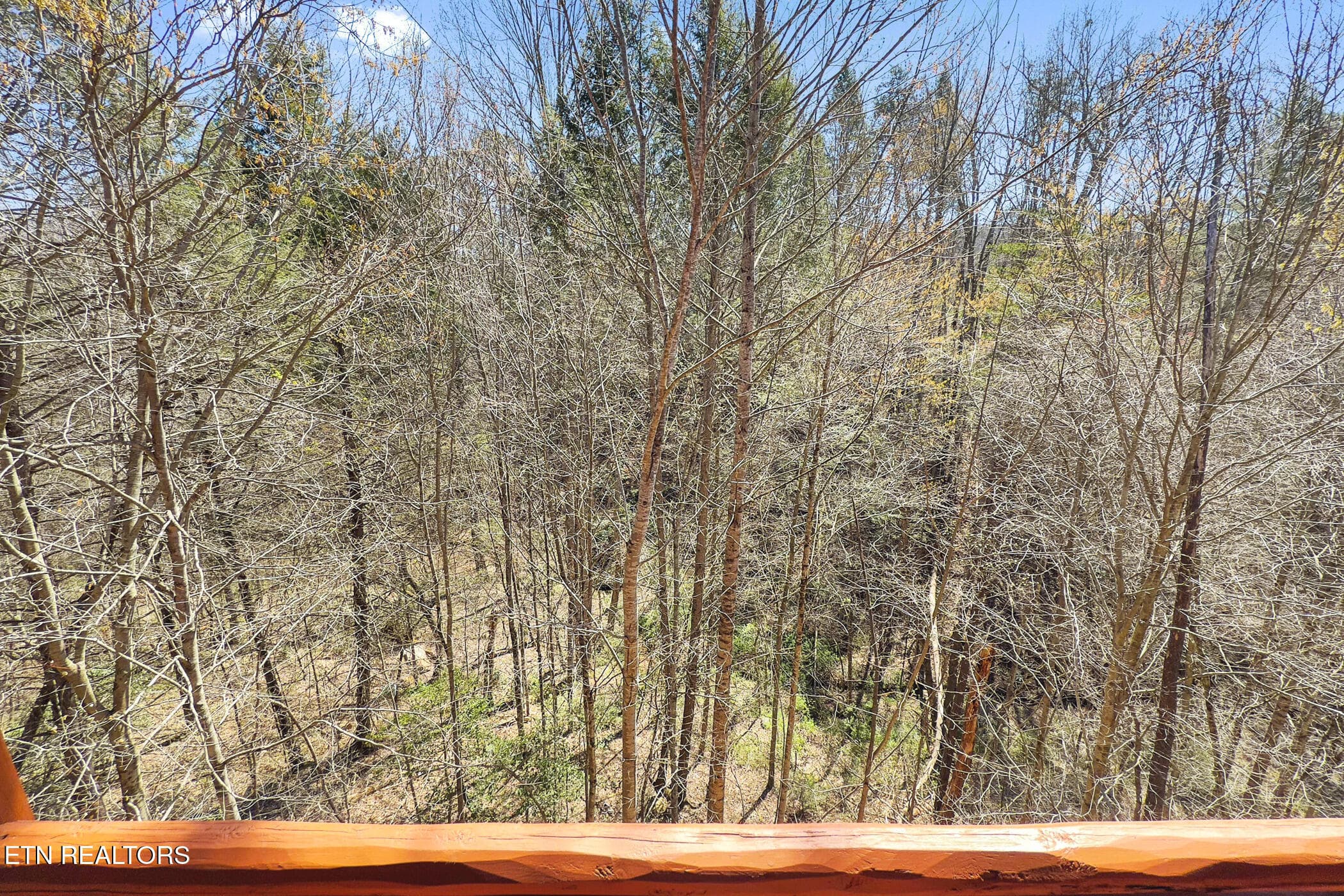 img_9019 - 4355 Forest Ridge Way, Pigeon Forge, TN 37863
