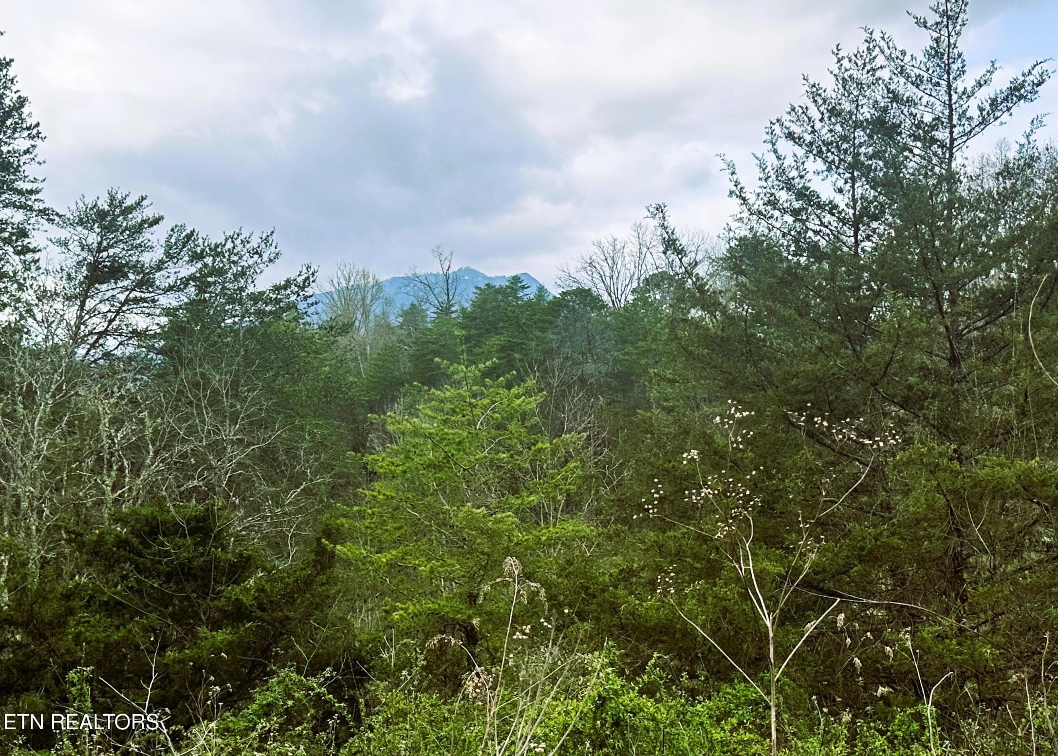 905 SRB View 1DD - 905 Sunrise Blvd, Sevierville, TN 37862