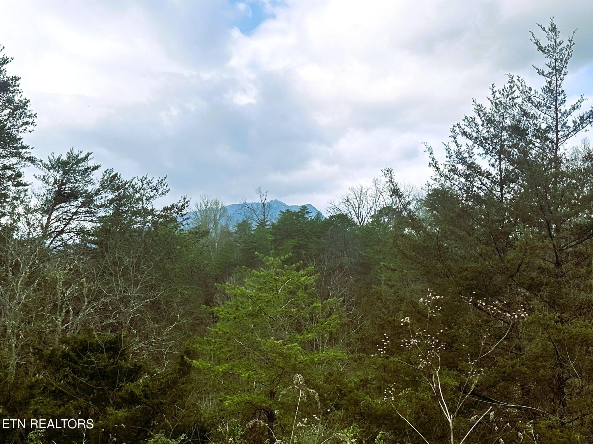 905 SRB VIEW 2DD - 905 Sunrise Blvd, Sevierville, TN 37862