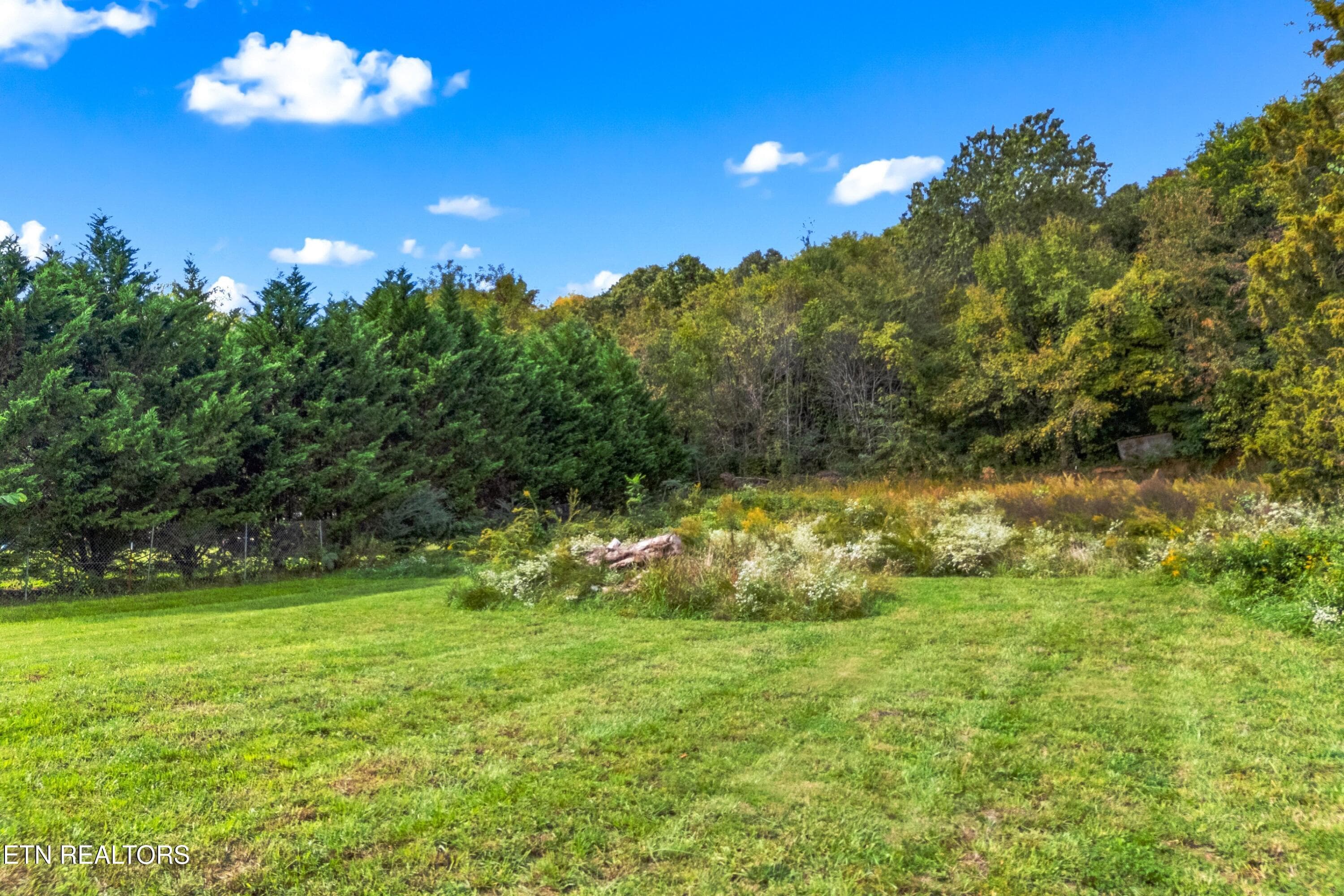 004-LivingstonLane-TN-37809-SMALL - 465 Livingston Rd, Bean Station, TN 37708