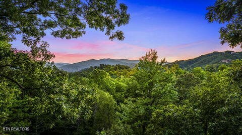 the-nut-house-0229.jpg_1 - 1135 Shady Grove Lane, Gatlinburg, TN 37738, Gatlinburg