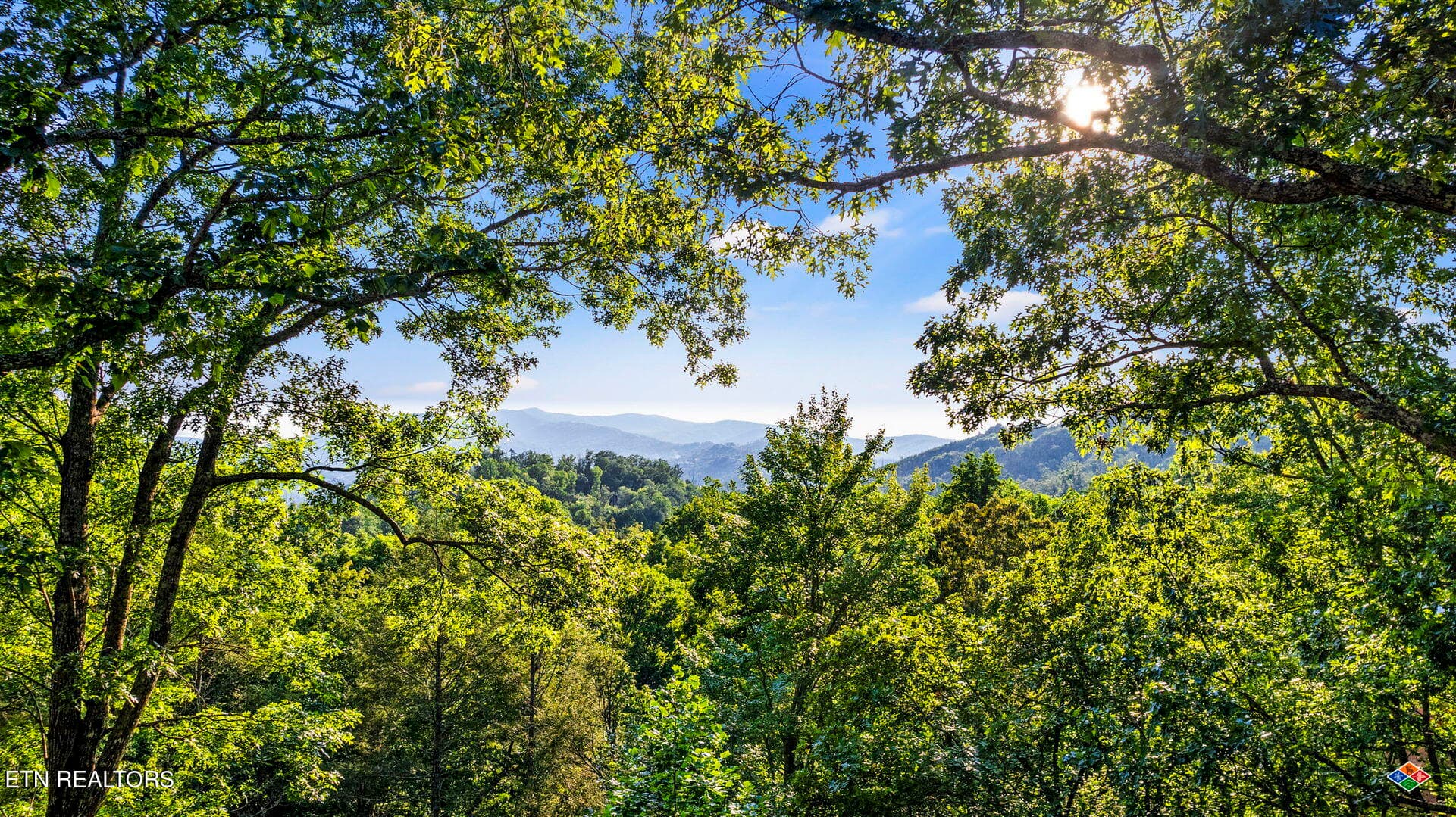the-nut-house-0136.jpg_1 - 1135 Shady Grove Lane, Gatlinburg, TN 37738, Gatlinburg