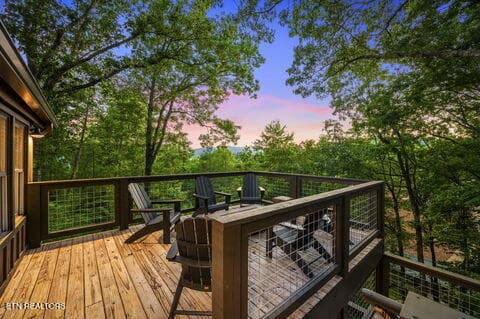 the-nut-house-4505.jpg_1 - 1135 Shady Grove Lane, Gatlinburg, TN 37738, Gatlinburg