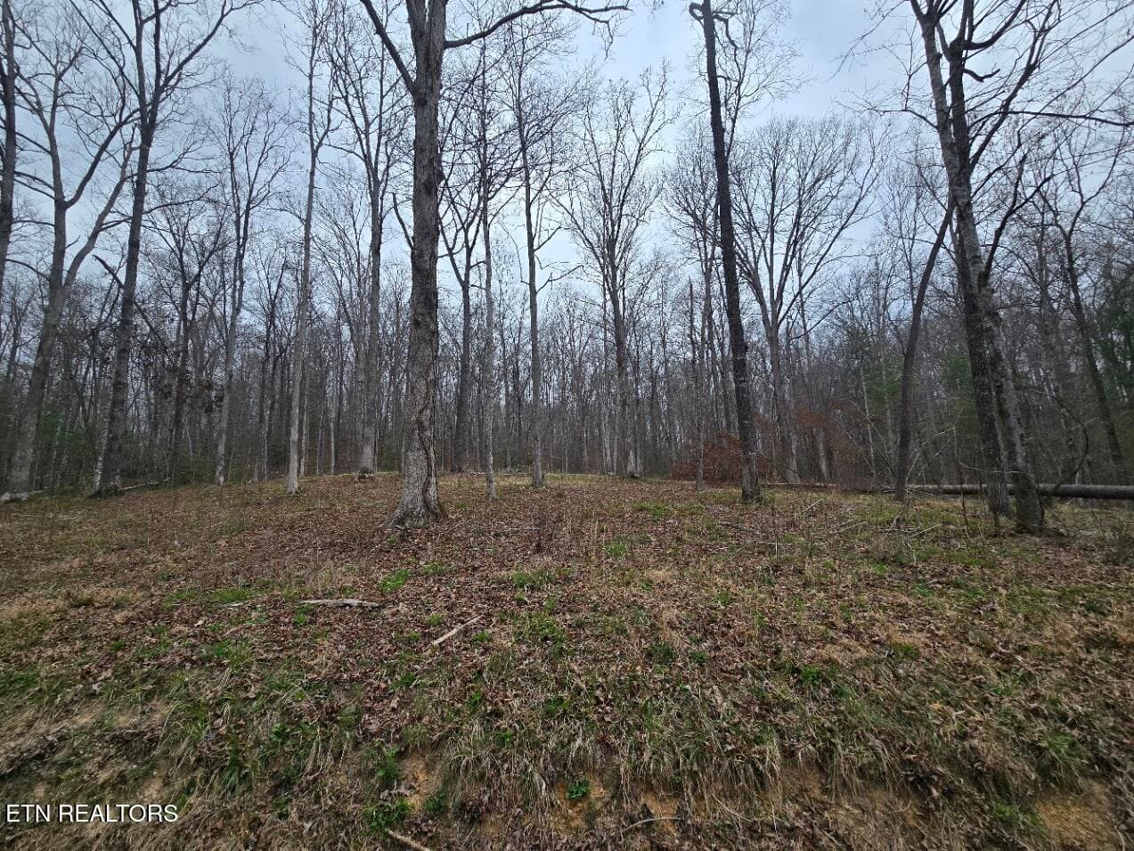 20260327_140906 - 0 Scott-Fentress Co. Line, Allardt, TN 38504