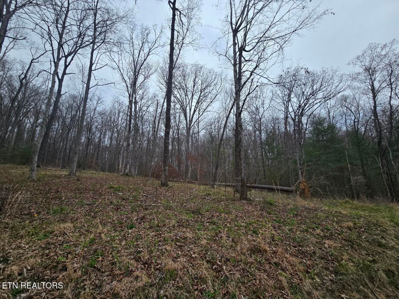 20260327_140911 - 0 Scott-Fentress Co. Line, Allardt, TN 38504