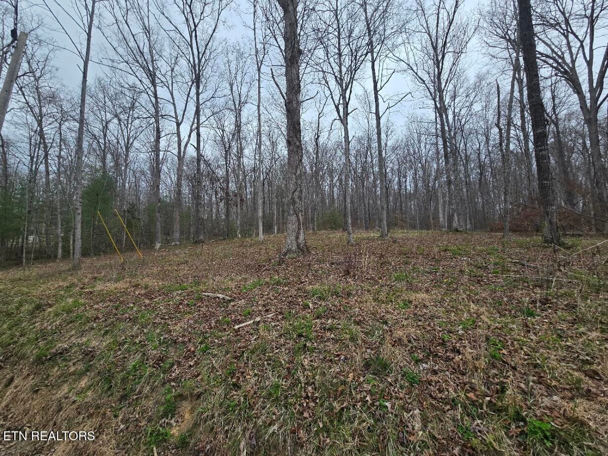 20260327_140915 - 0 Scott-Fentress Co. Line, Allardt, TN 38504