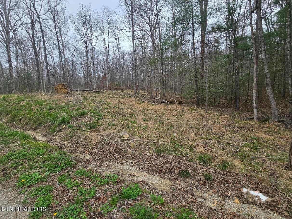 20260327_140946 - 0 Scott-Fentress Co. Line, Allardt, TN 38504