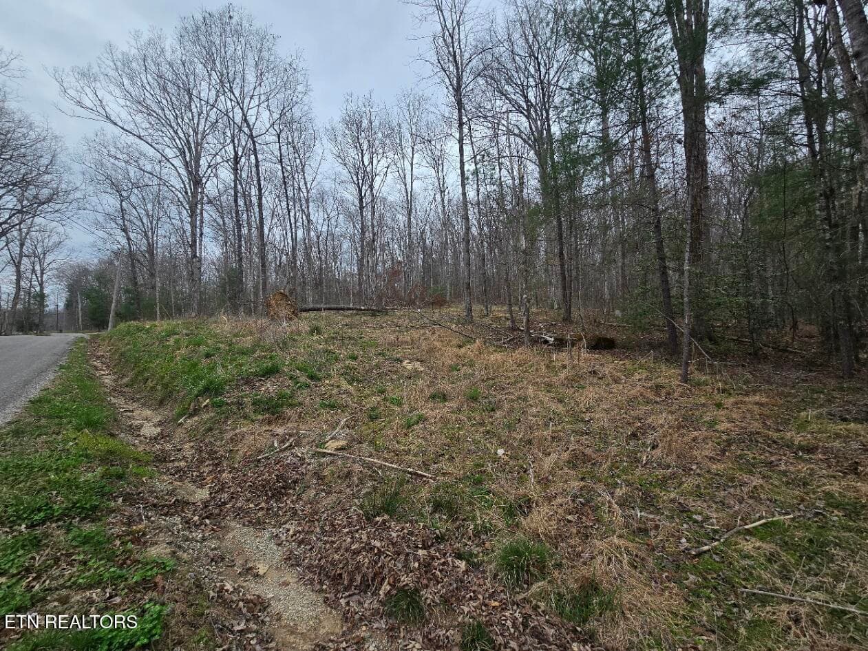 20260327_141002 - 0 Scott-Fentress Co. Line, Allardt, TN 38504