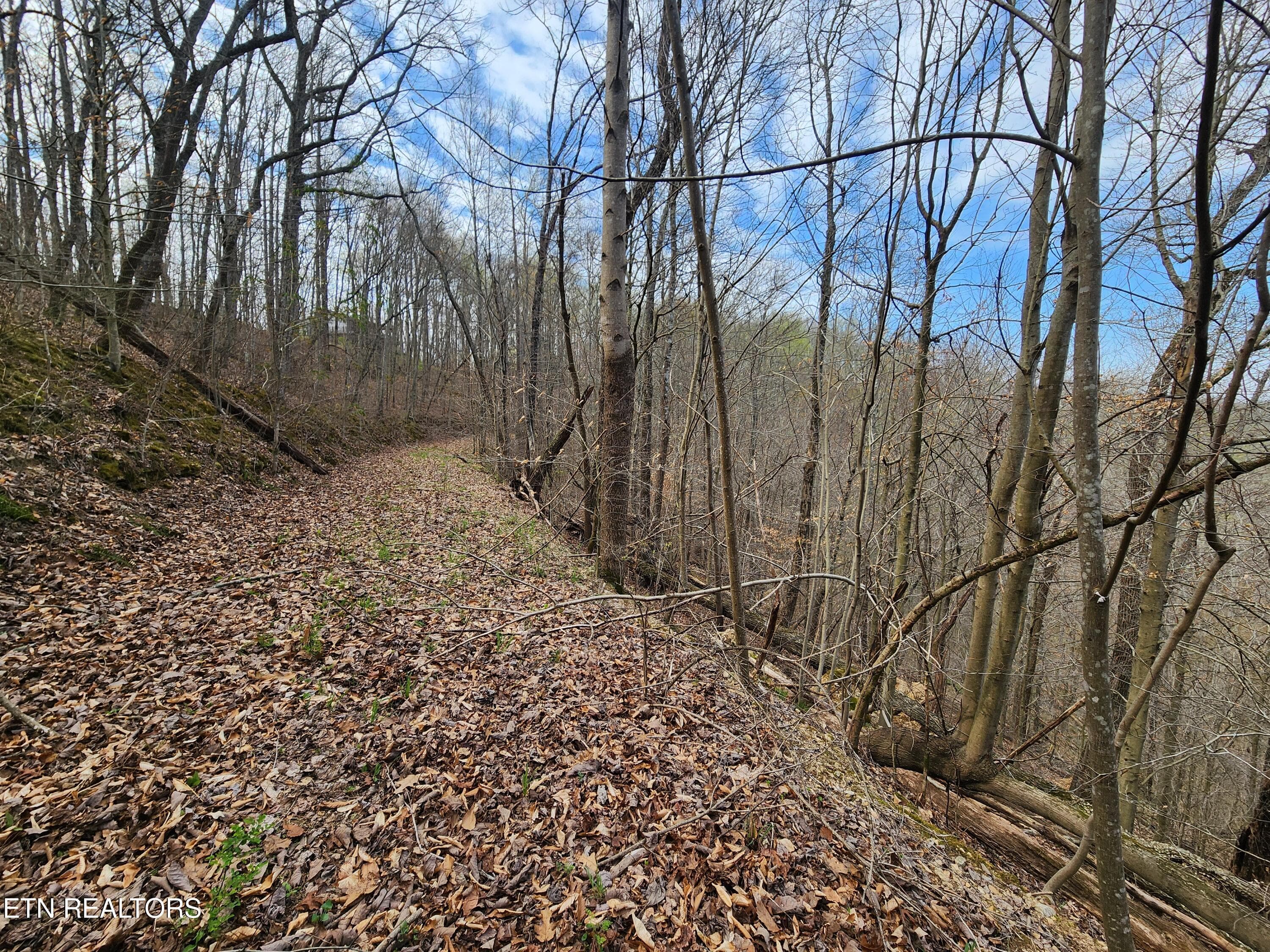 20260325_103012 - Alpine Drive, Smithville, TN 37166, Smithville