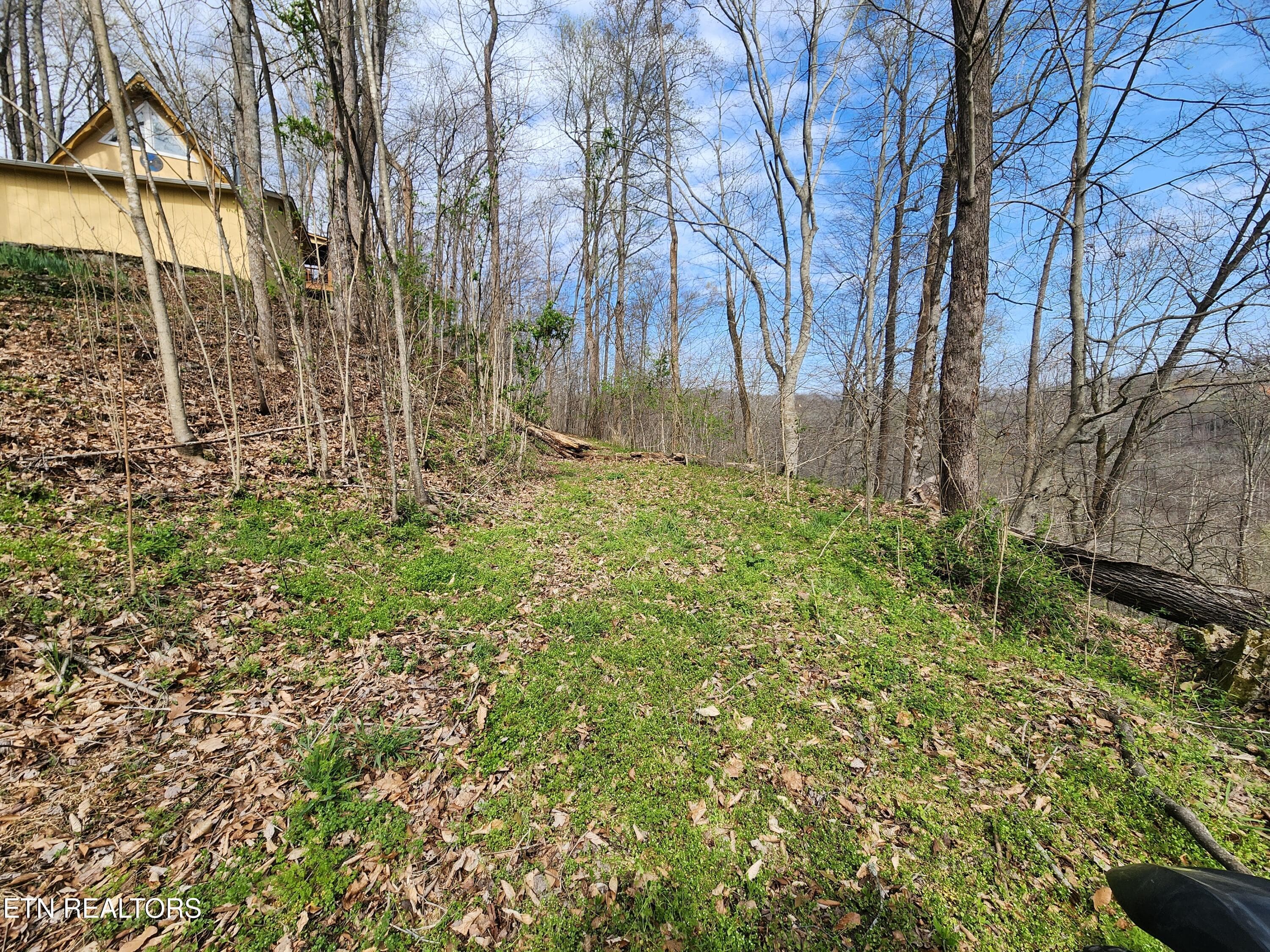 20260325_102847 - Alpine Drive, Smithville, TN 37166, Smithville