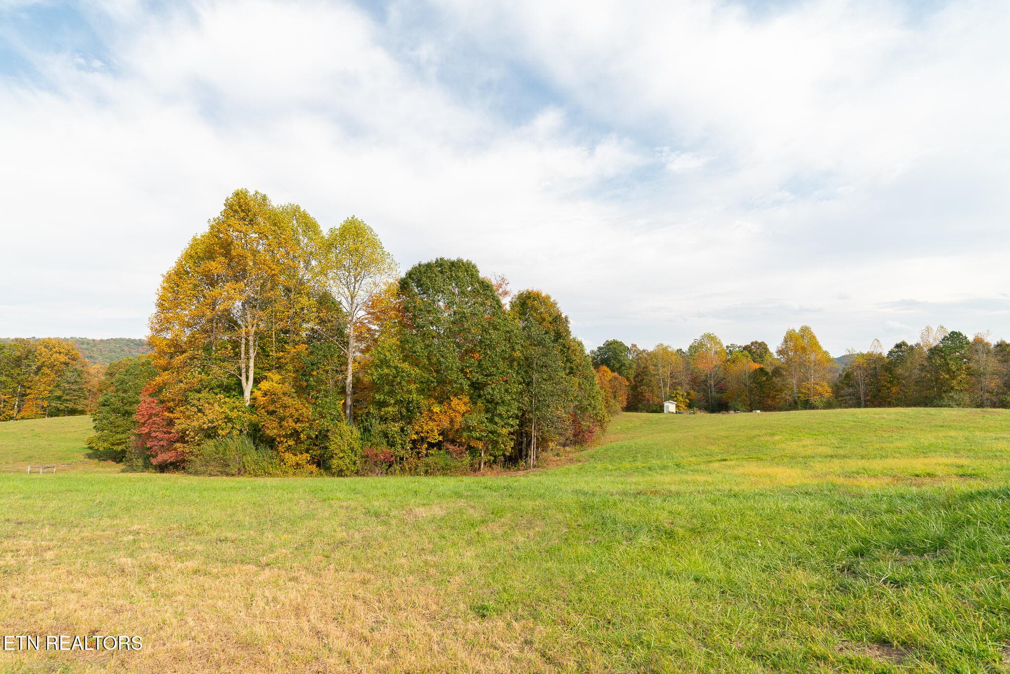 untitled-36 - 3767 Phillips Flats Rd, Oneida, TN 37841