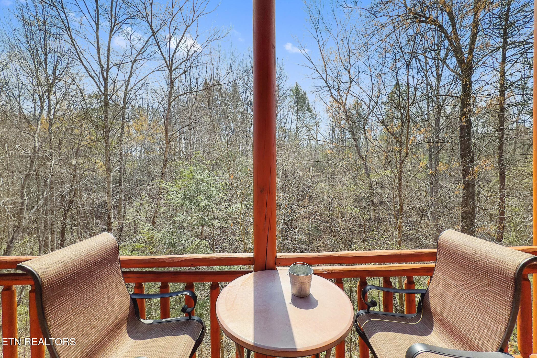 img_9487 - 4359 Forest Ridge Way, Pigeon Forge, TN 37863