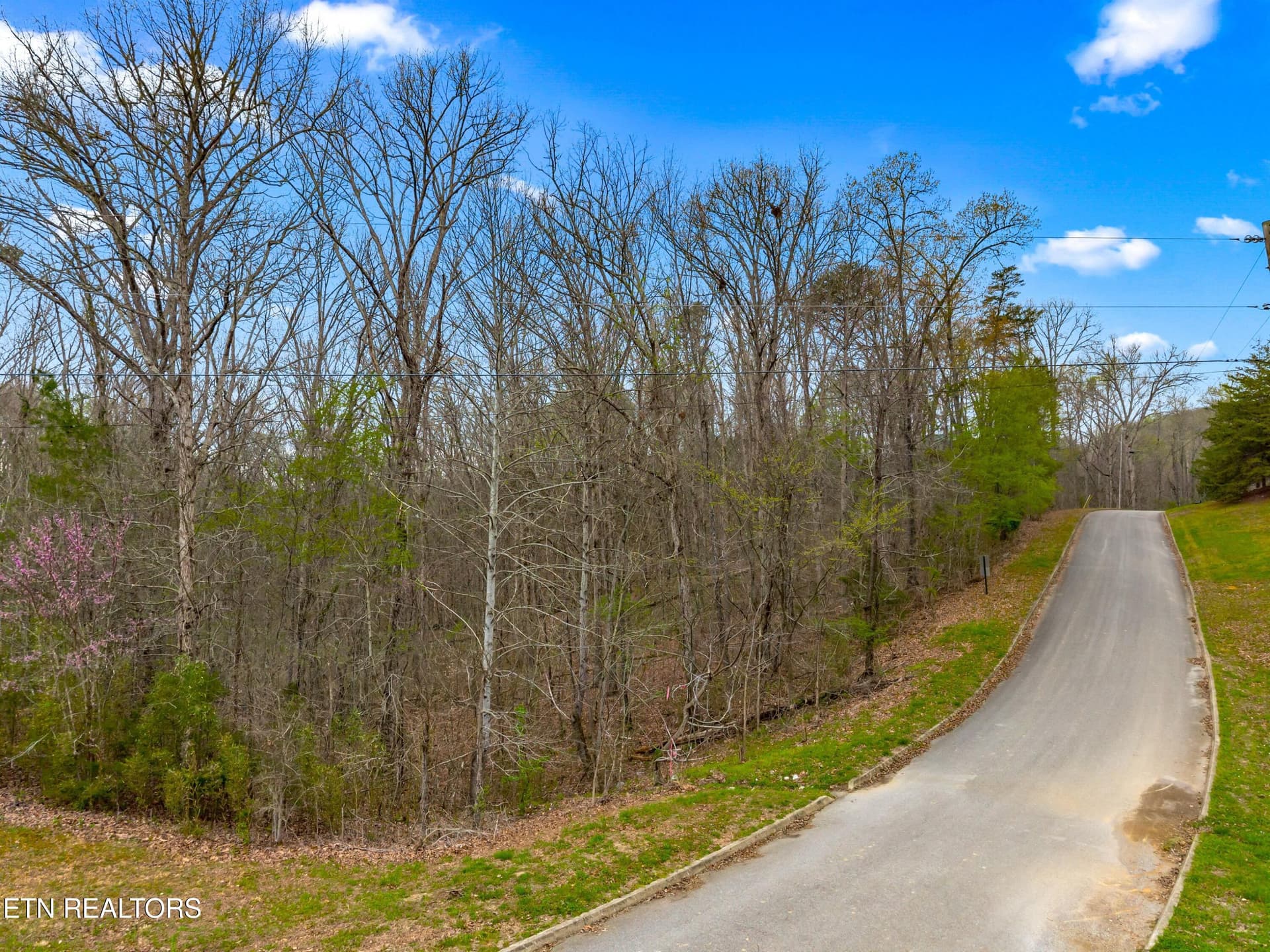 Lot 107 Turtle Dove Tr, Dandridge, TN 37725