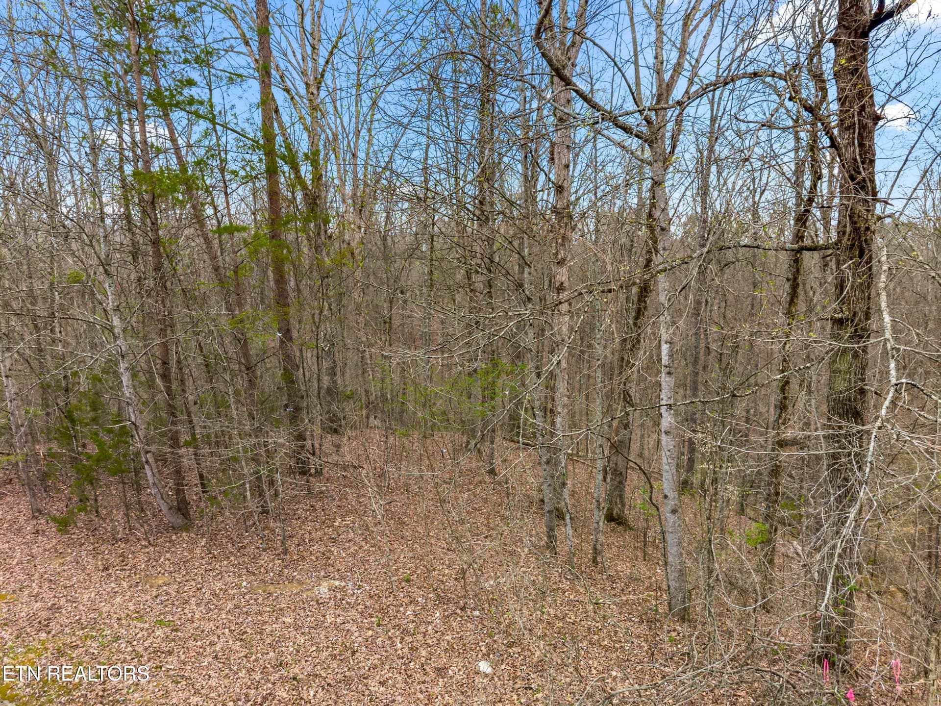 069-532TurtleDoveTrail-Dandridge - Lot 107 Turtle Dove Tr, Dandridge, TN 37725