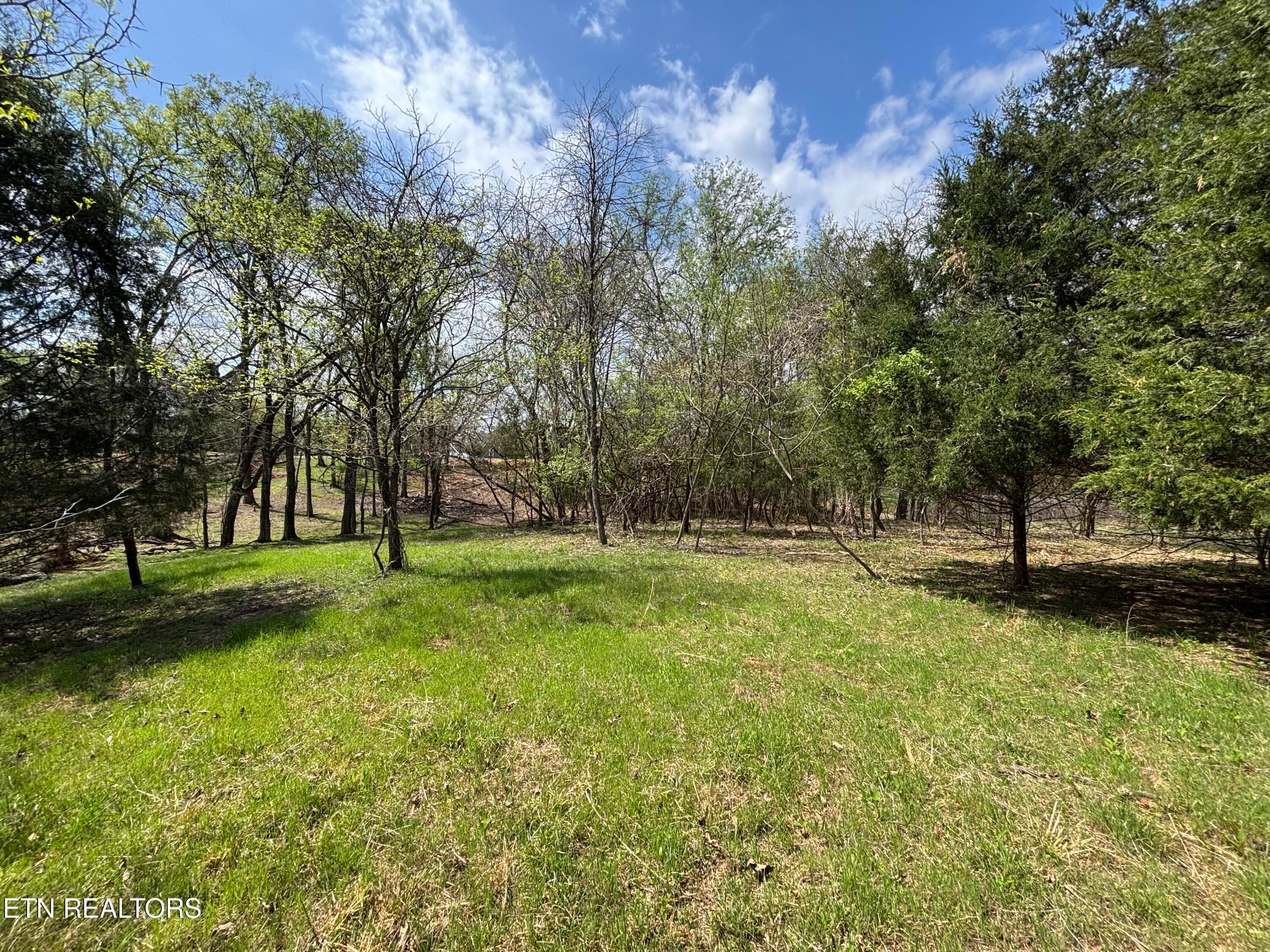 E Shore Drive, Rockwood, TN 37854