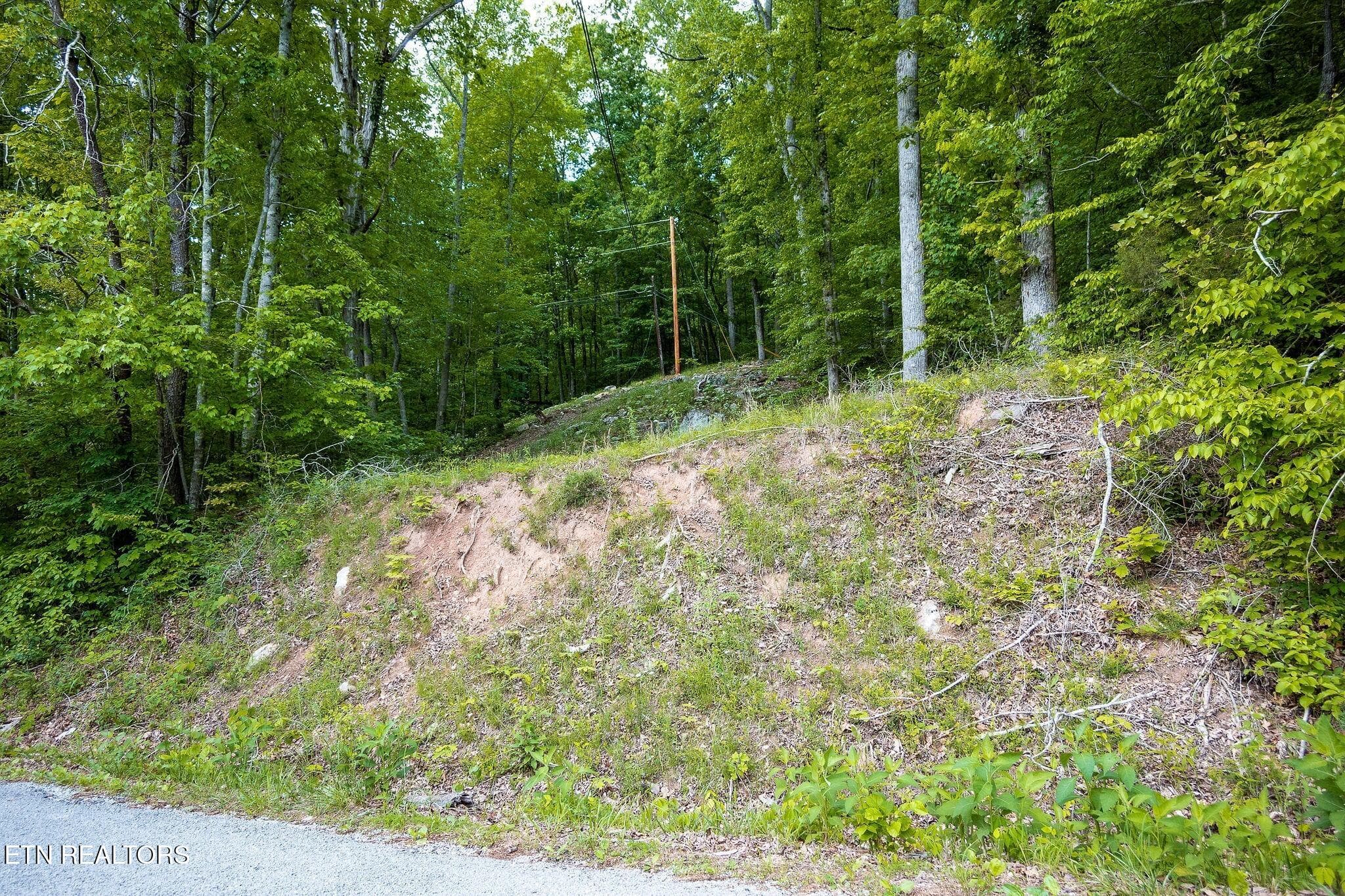 additional frontage - 8450 Old Highway 28, Pikeville, TN 37367