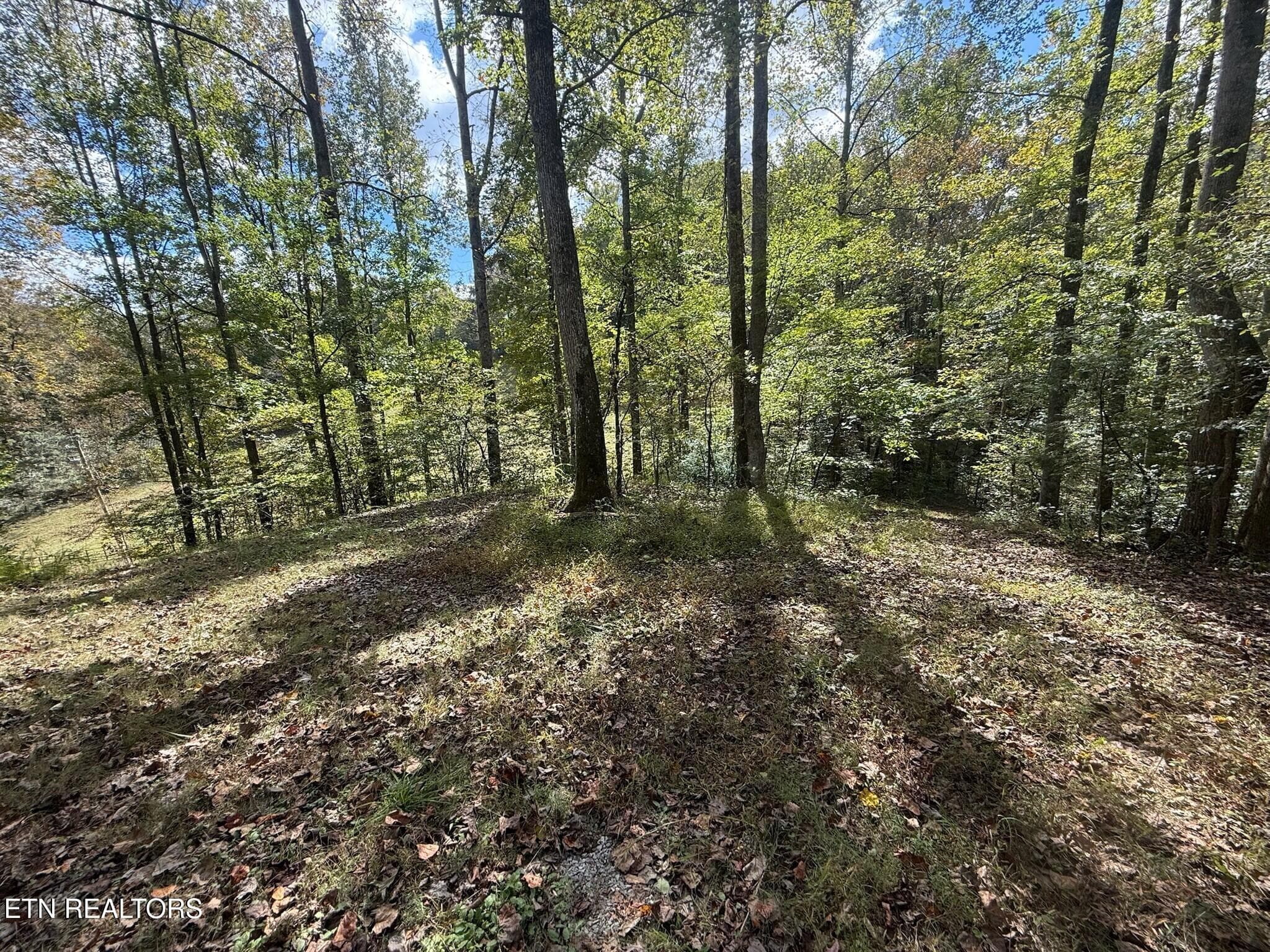 camper driveway left and right - 8450 Old Highway 28, Pikeville, TN 37367