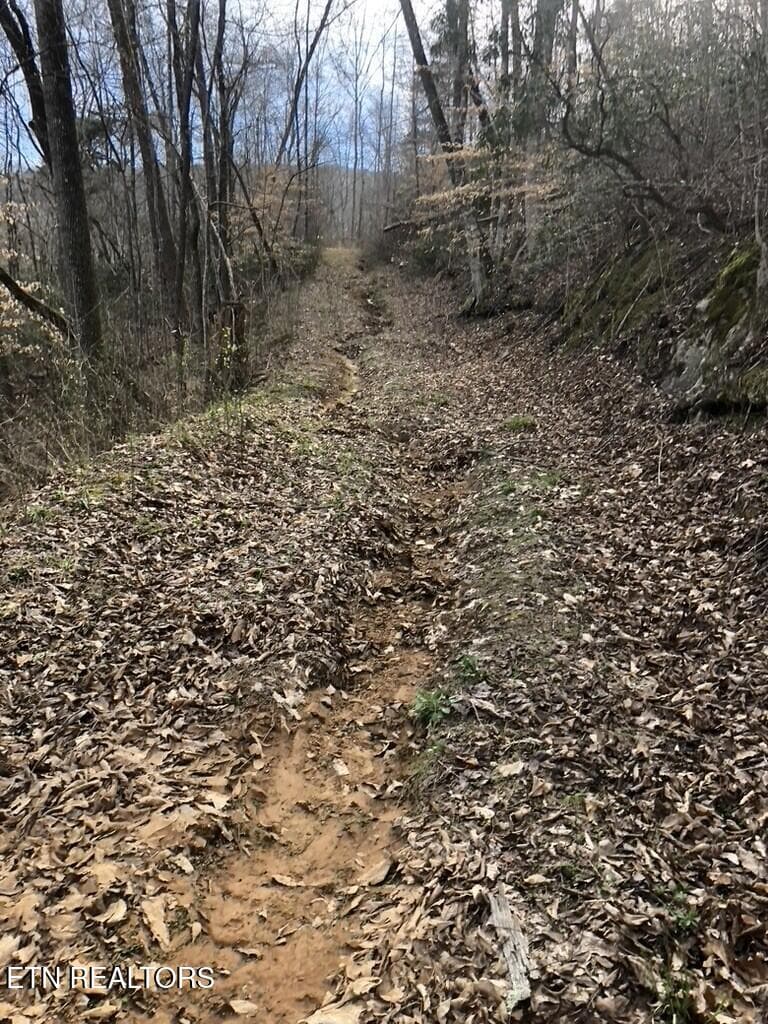 dirt road - 8450 Old Highway 28, Pikeville, TN 37367