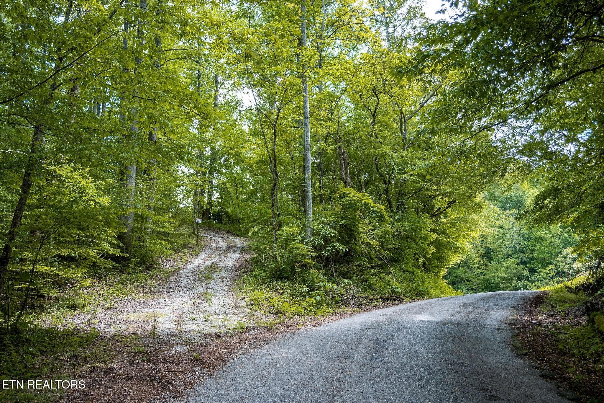 driveway to camper - 8450 Old Highway 28, Pikeville, TN 37367