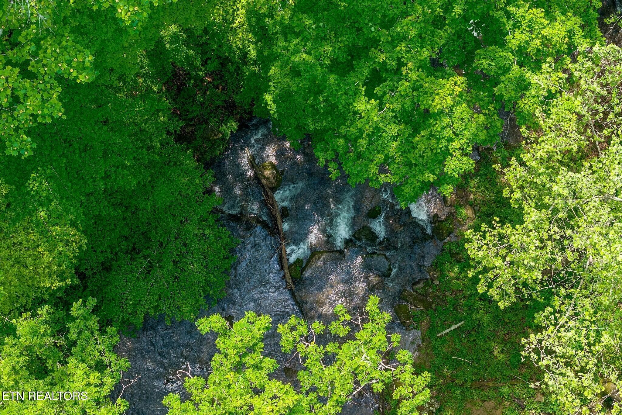 fishing and swimming - 8450 Old Highway 28, Pikeville, TN 37367