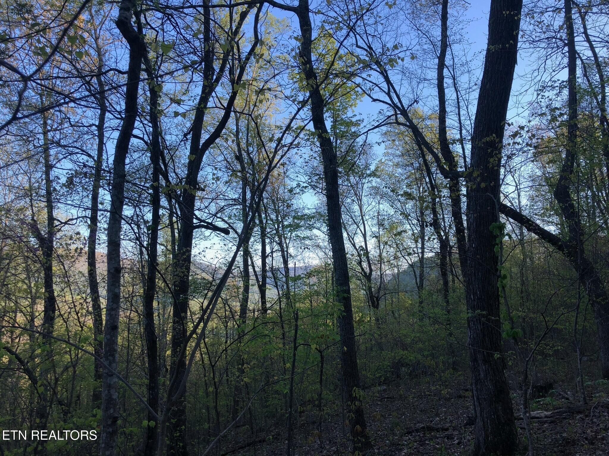 midway up the mountain - 8450 Old Highway 28, Pikeville, TN 37367