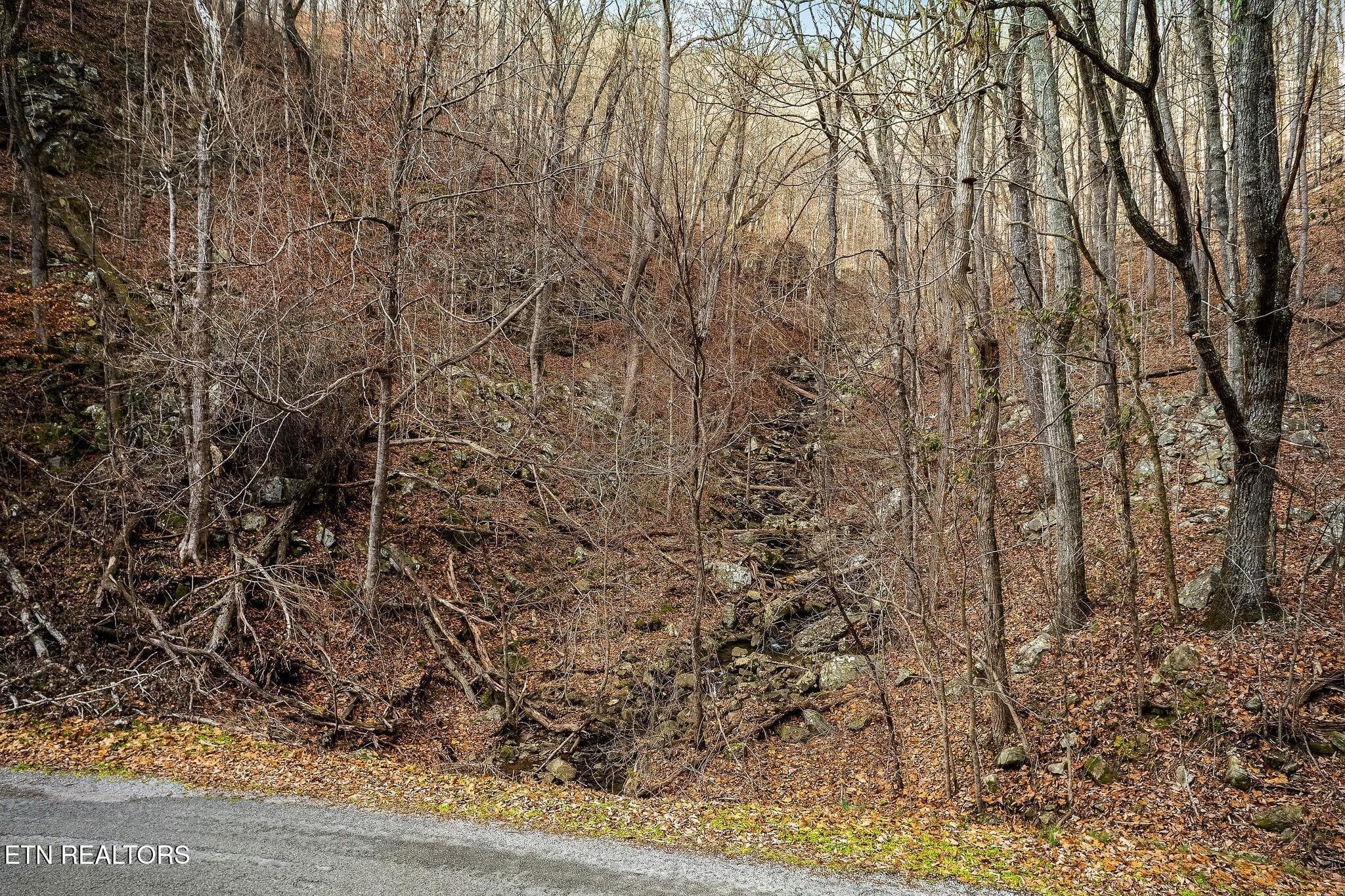 property line with state park - 8450 Old Highway 28, Pikeville, TN 37367