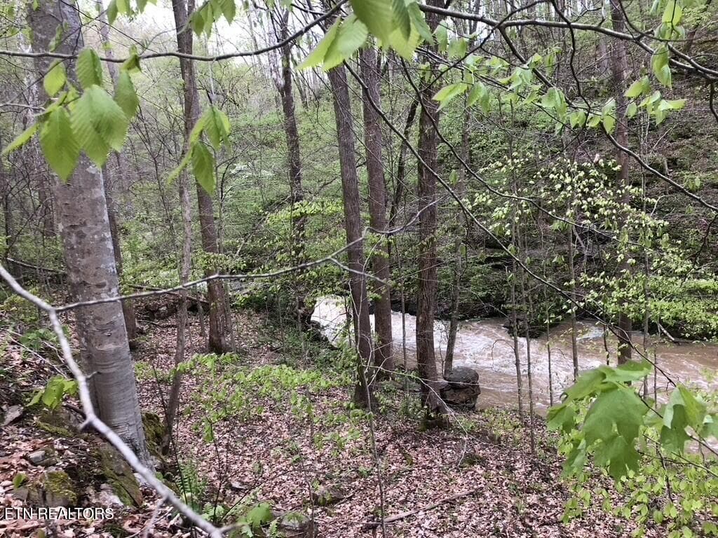 river site - 8450 Old Highway 28, Pikeville, TN 37367