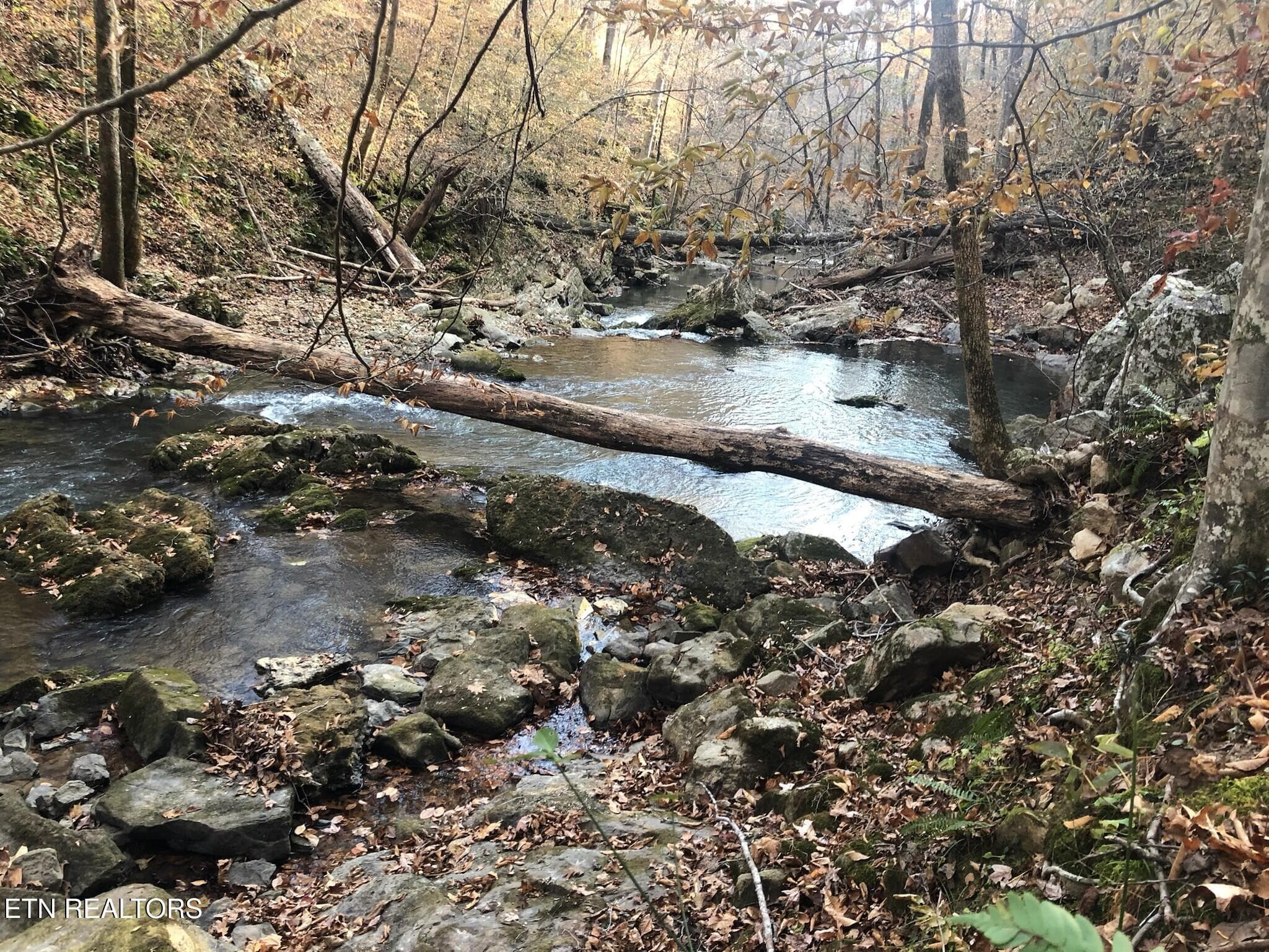 river - 8450 Old Highway 28, Pikeville, TN 37367
