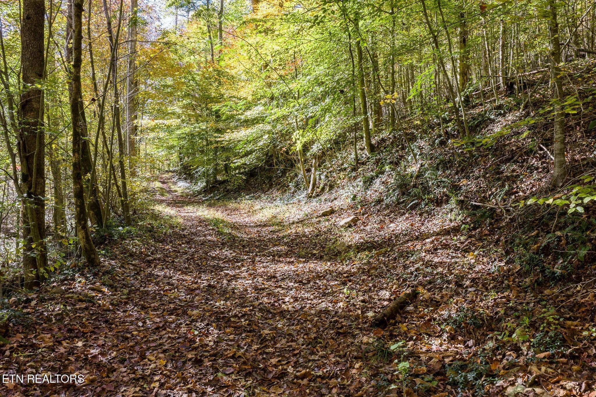 road continued - 8450 Old Highway 28, Pikeville, TN 37367