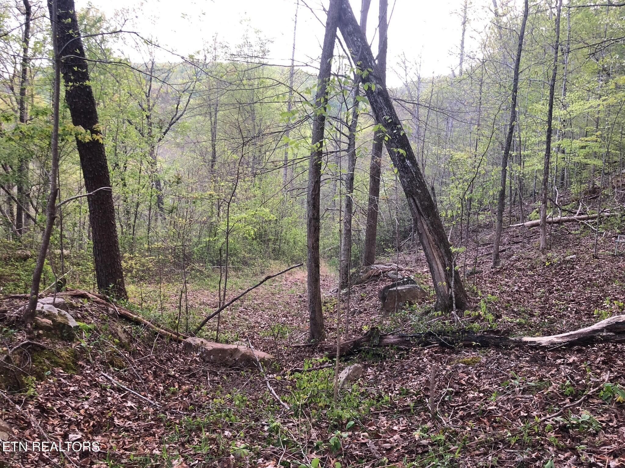 sights - 8450 Old Highway 28, Pikeville, TN 37367